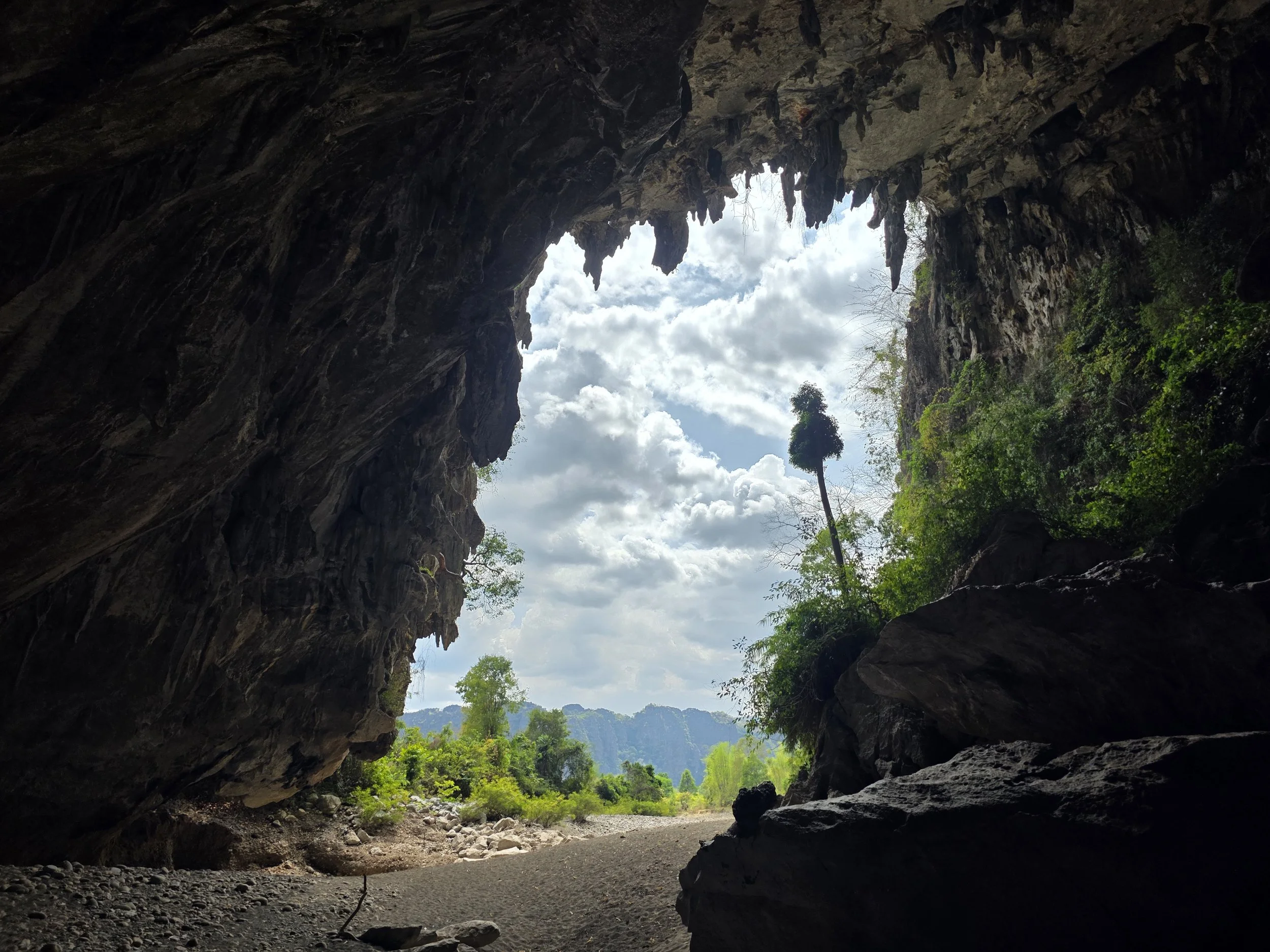 Vue depuis l'intérieur d'une grotte vers un paysage extérieur verdoyant avec des arbres et un ciel nuageux.