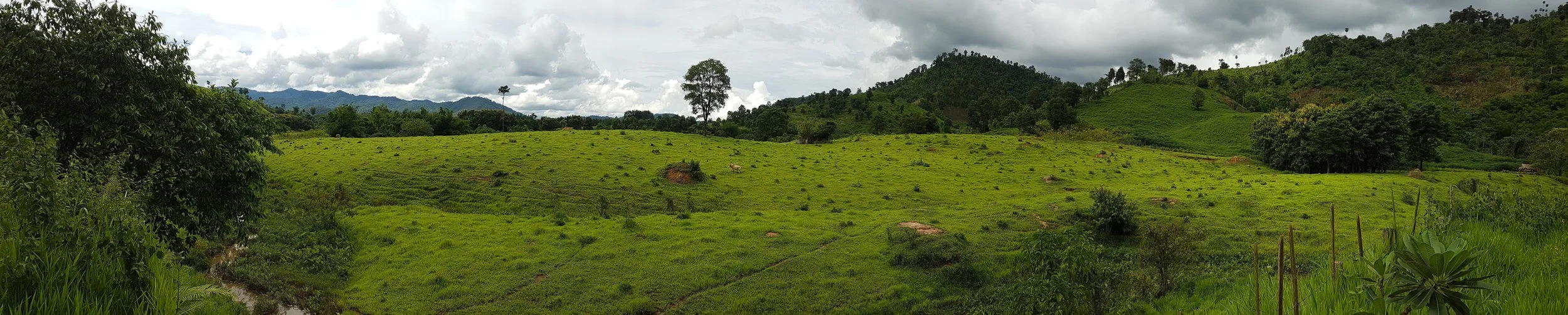 Paysage verdoyant avec des collines, des arbres et un ciel nuageux dans un environnement rural