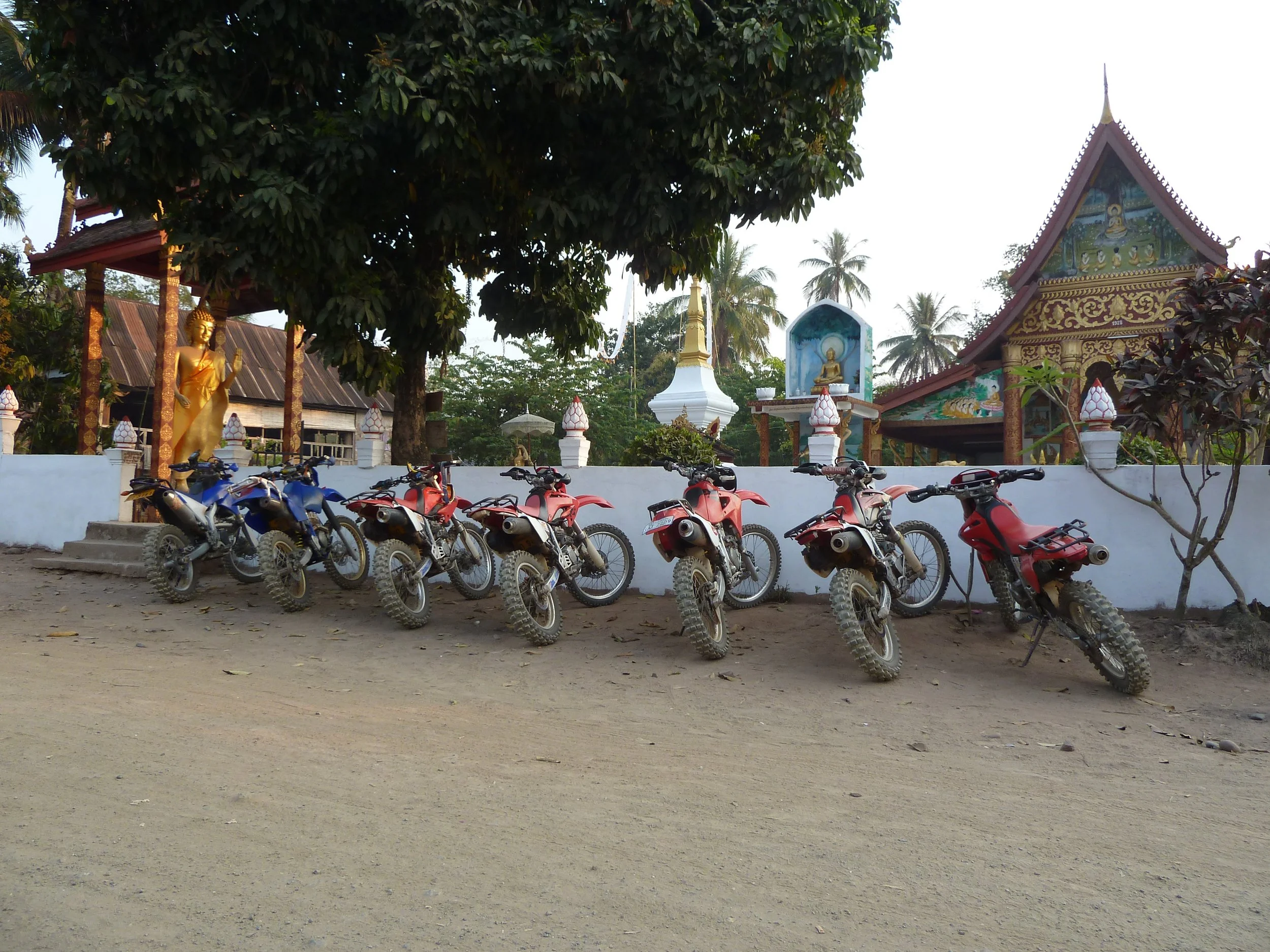 Une rangée de motos rouges et bleues garées devant un mur blanc dans un environnement avec des arbres, une petite pagode et des statues bouddhistes dorées.