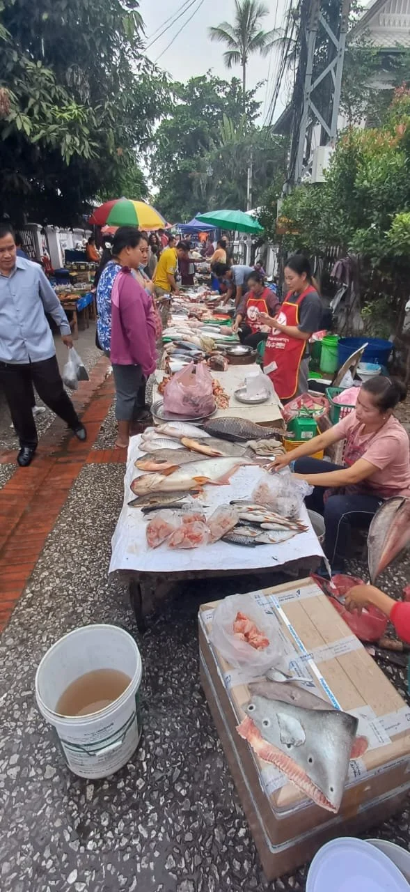 Marché en plein air avec des vendeurs de poissons et fruits de mer, clients achetant, parasols colorés, arbres et bâtiments en arrière-plan.