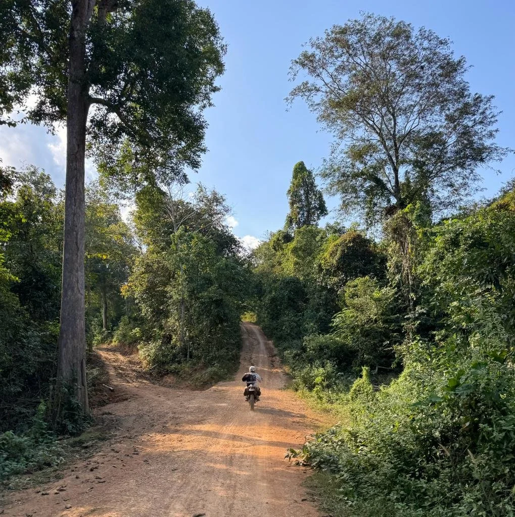 Un chemin de terre dans une forêt avec un motard roulant en direction de l'horizon. Le ciel est clair avec quelques nuages.