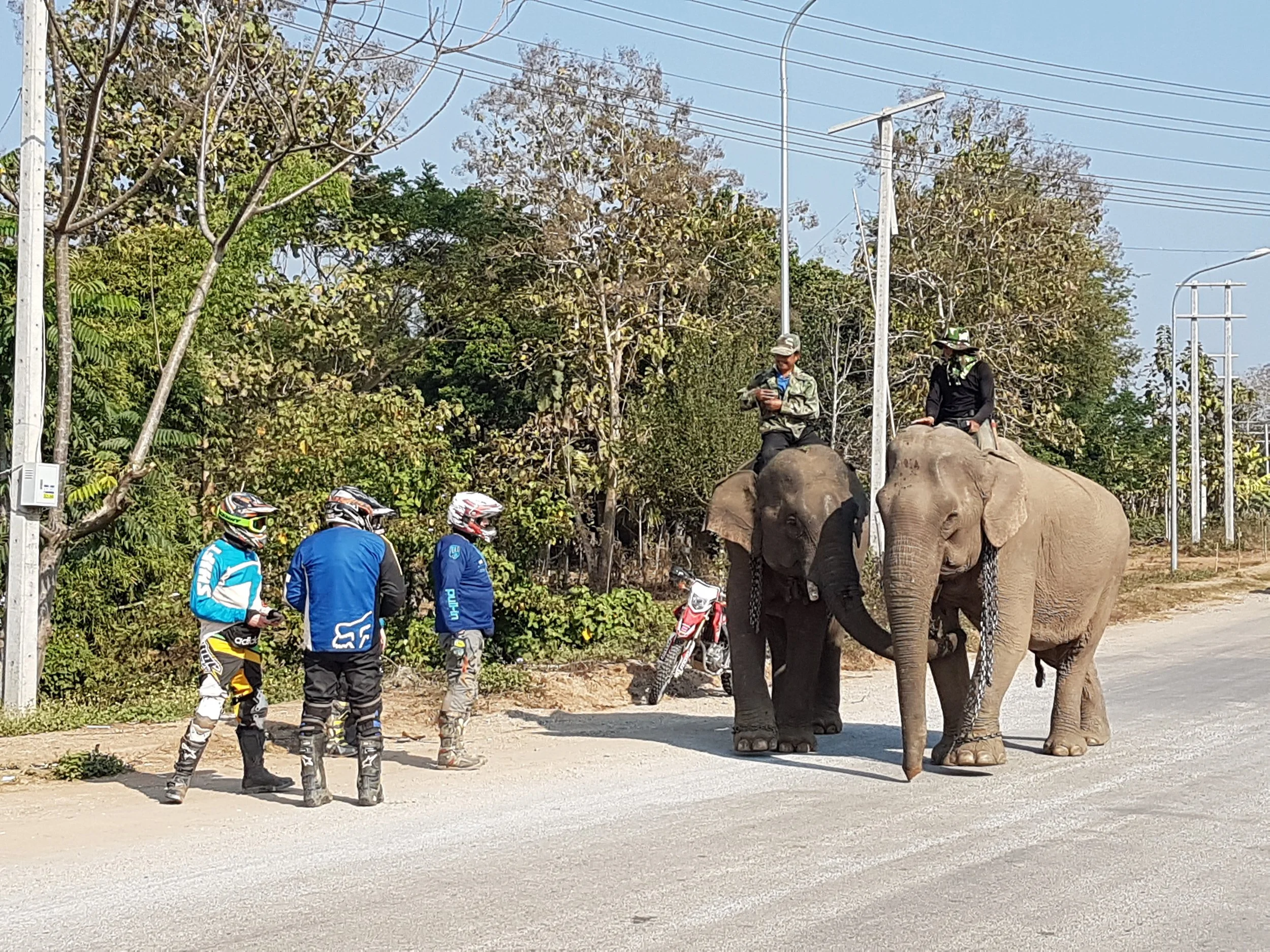 Un groupe de cinq personnes habillées de vêtements de motocross, se tenant à côté de quatre motos, dans un lieu où se trouve un éléphant, avec des arbres et des lignes électriques au fond.