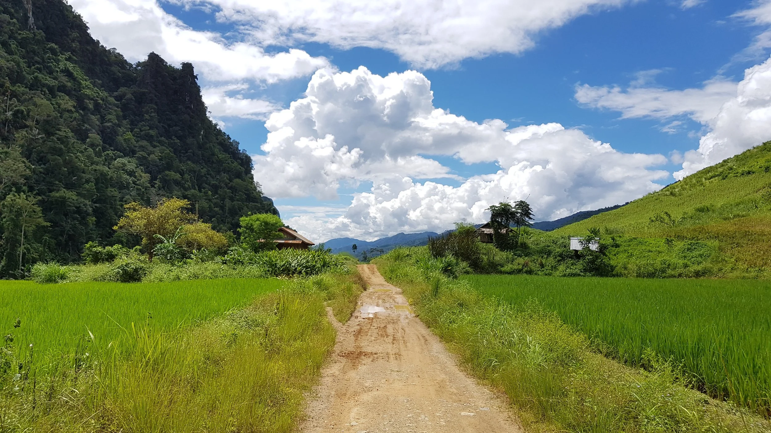 Chemin de terre traversant des champs de riz verts avec des montagnes et des maisons en arrière-plan, sous un ciel bleu avec des nuages blancs.