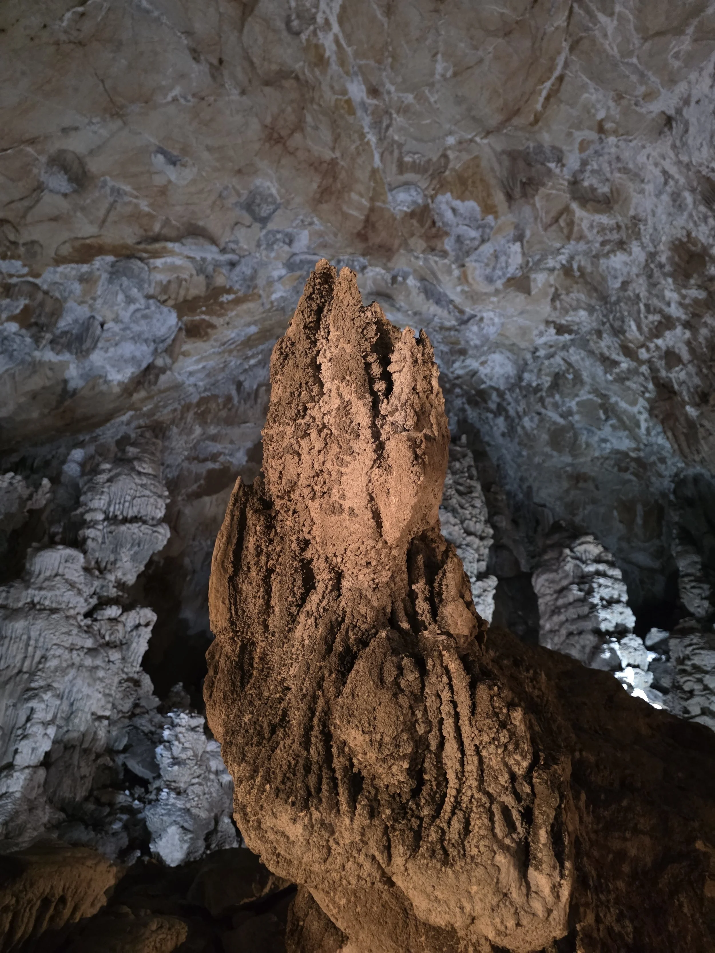 Stalactites et stalagmites dans une grotte, éclairées doucement.