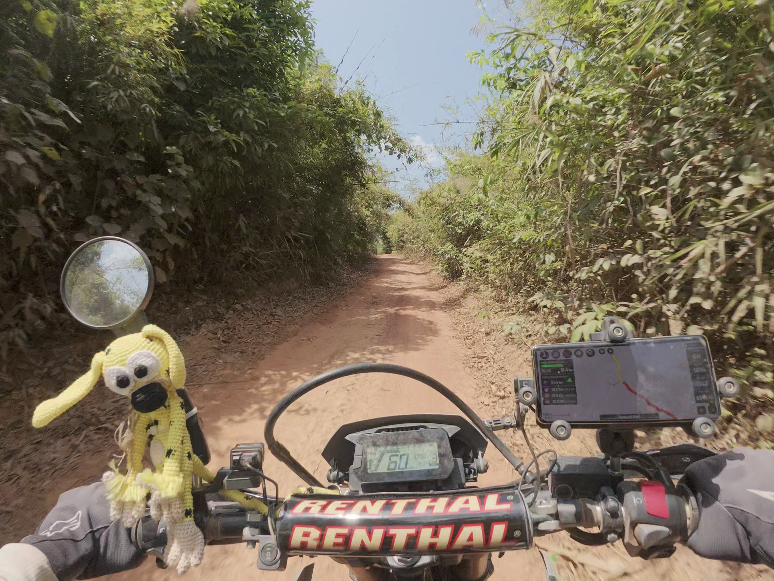 Vue d'une moto traversant un chemin de terre bordé de végétation dense sous un ciel clair.