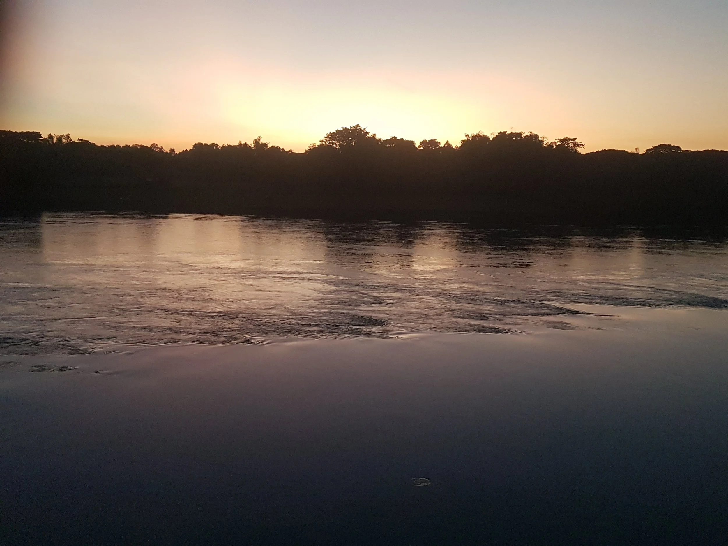 Un coucher de soleil derrière une ligne d'arbres le long d'une rivière calme.