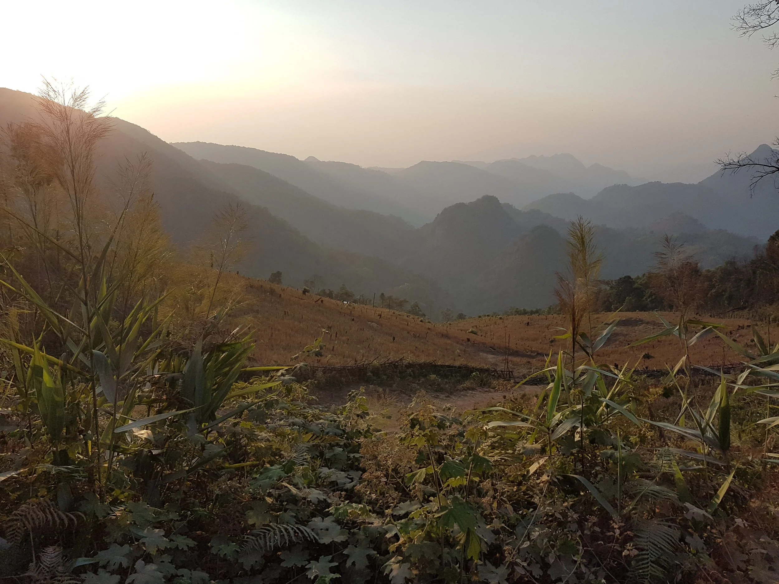 Paysage montagneux avec forêt, montagnes en arrière-plan et ciel nuageux au coucher du soleil.