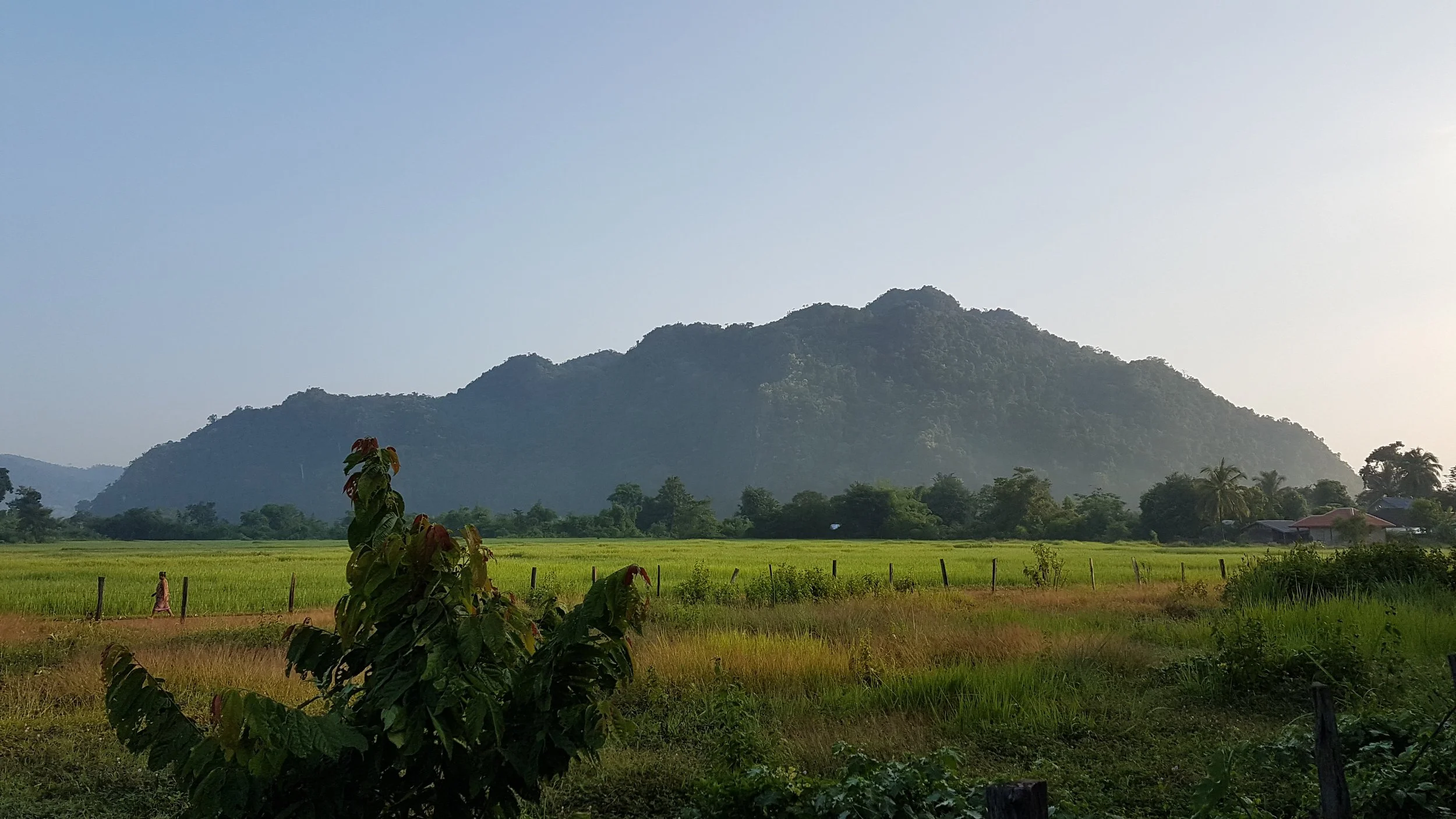 Un paysage de montagne verdoyante avec des champs agricoles au premier plan et un ciel clair.