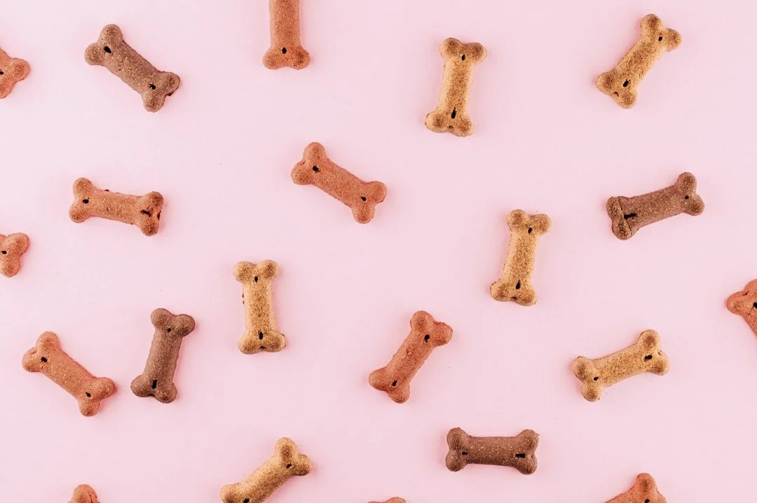 Dog treat biscuits shaped like bones scattered on a pink surface.