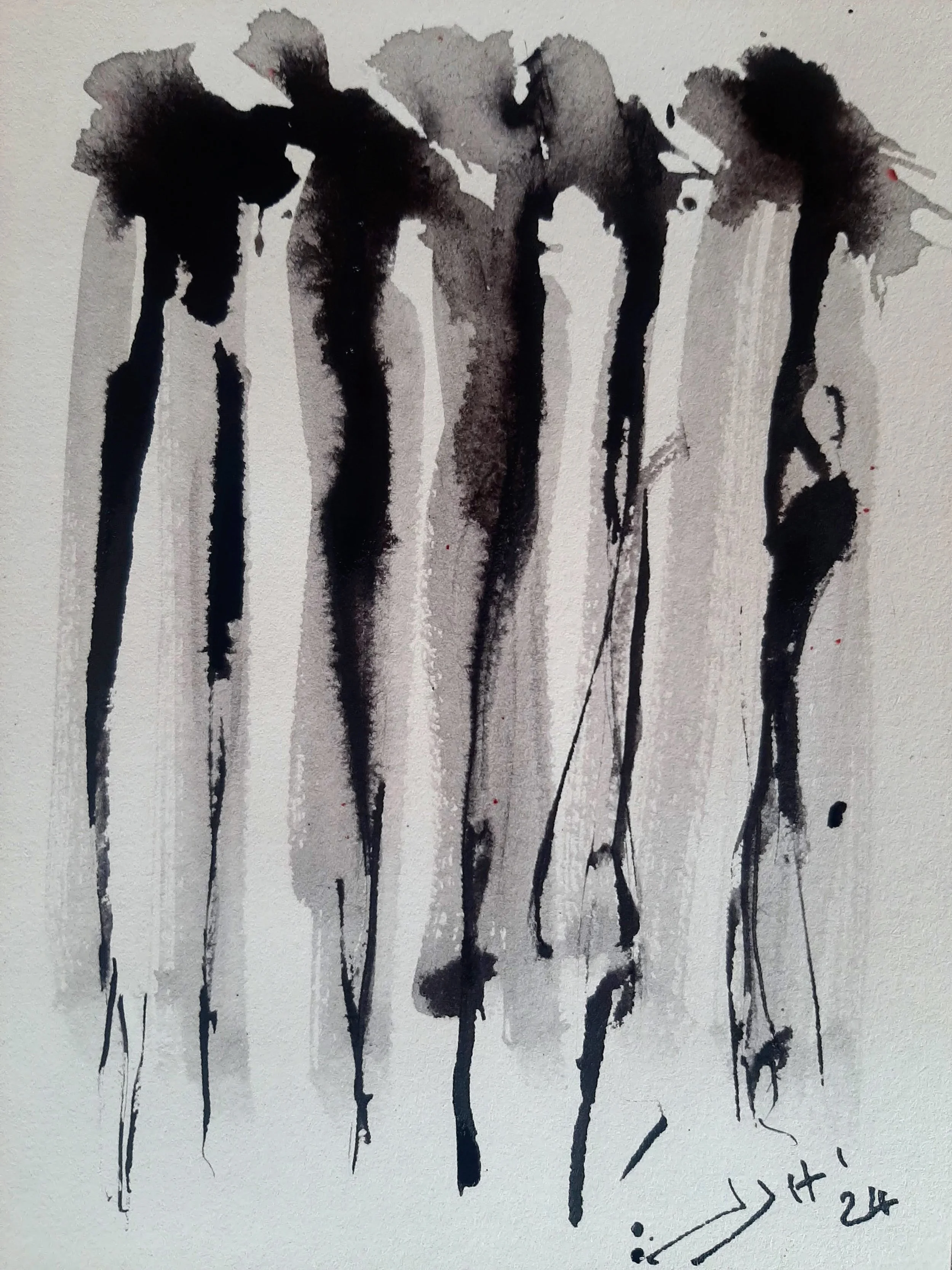 20240913_153521.jpg