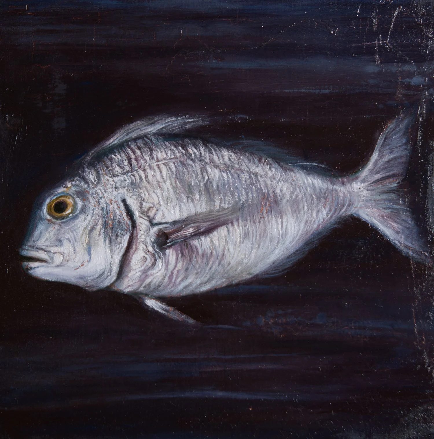 Dipinto di un pesce sulla tela, con dettagli delle squame e della coda, sfondo scuro.