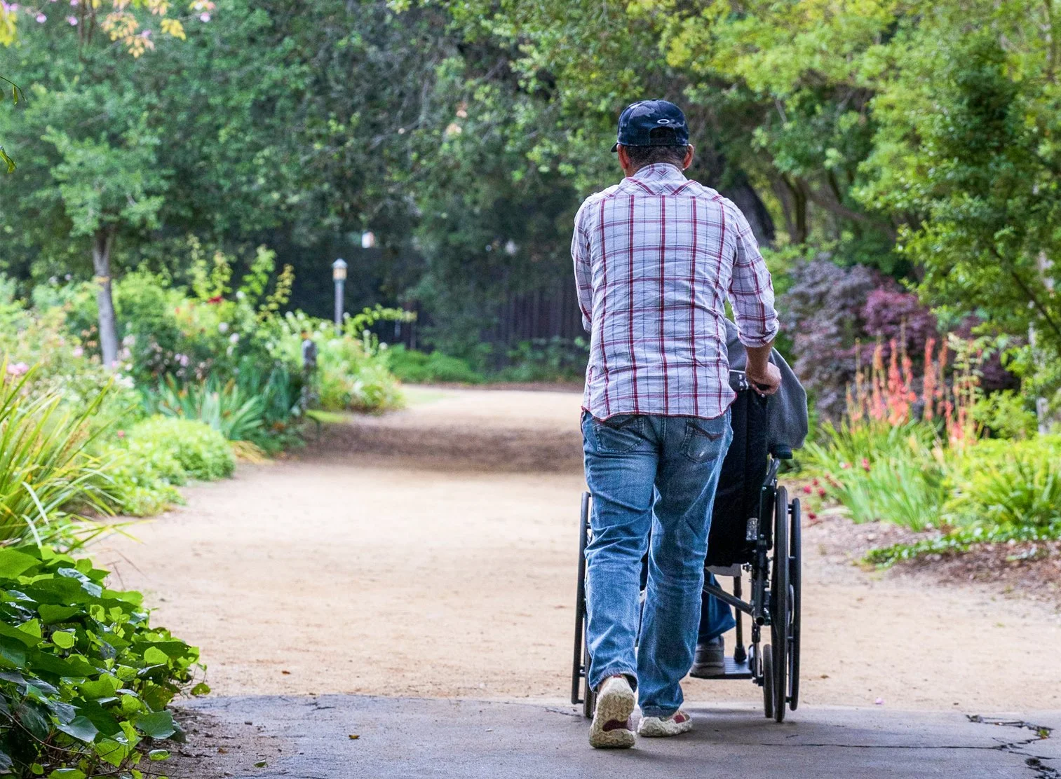 A man wearing a plaid shirt and a baseball cap is pushing a wheelchair along a garden path lined with green plants and trees.