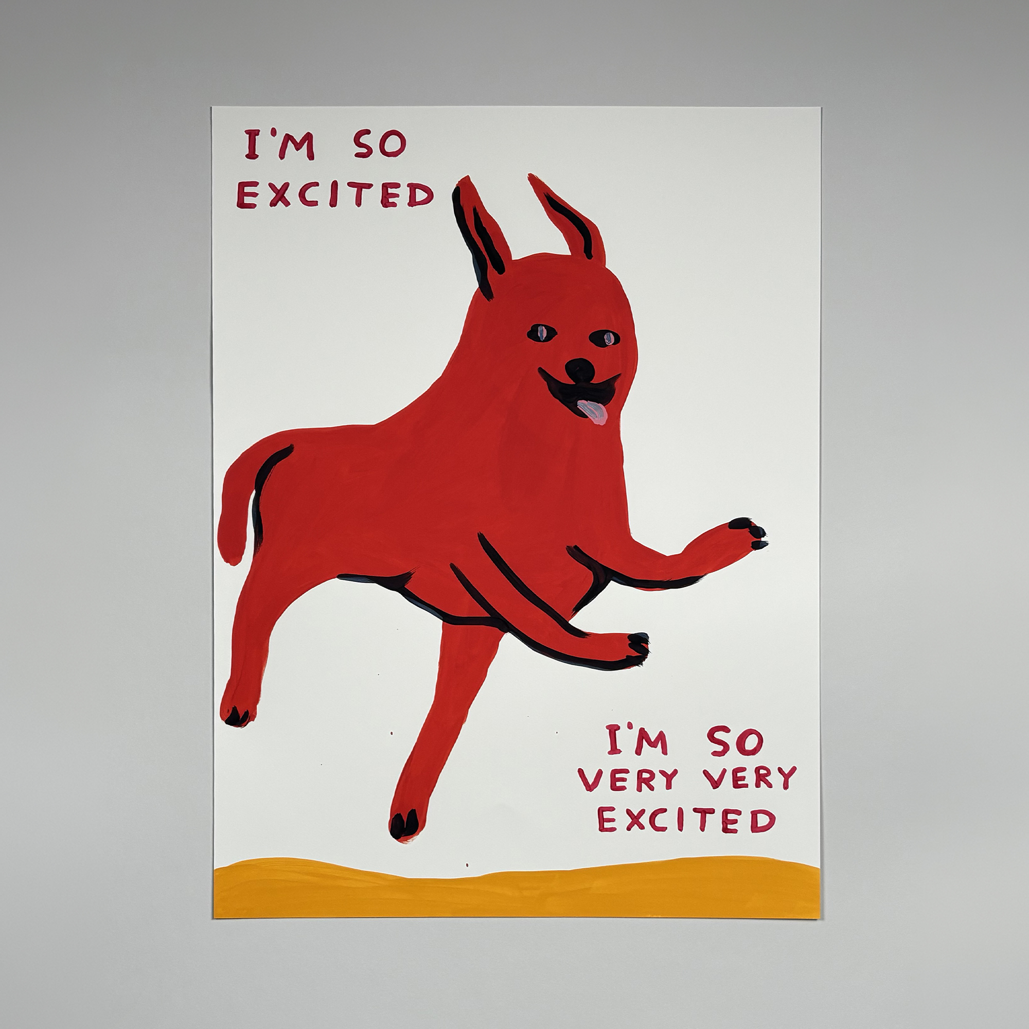 david shrigley i'm so excited (2022)
