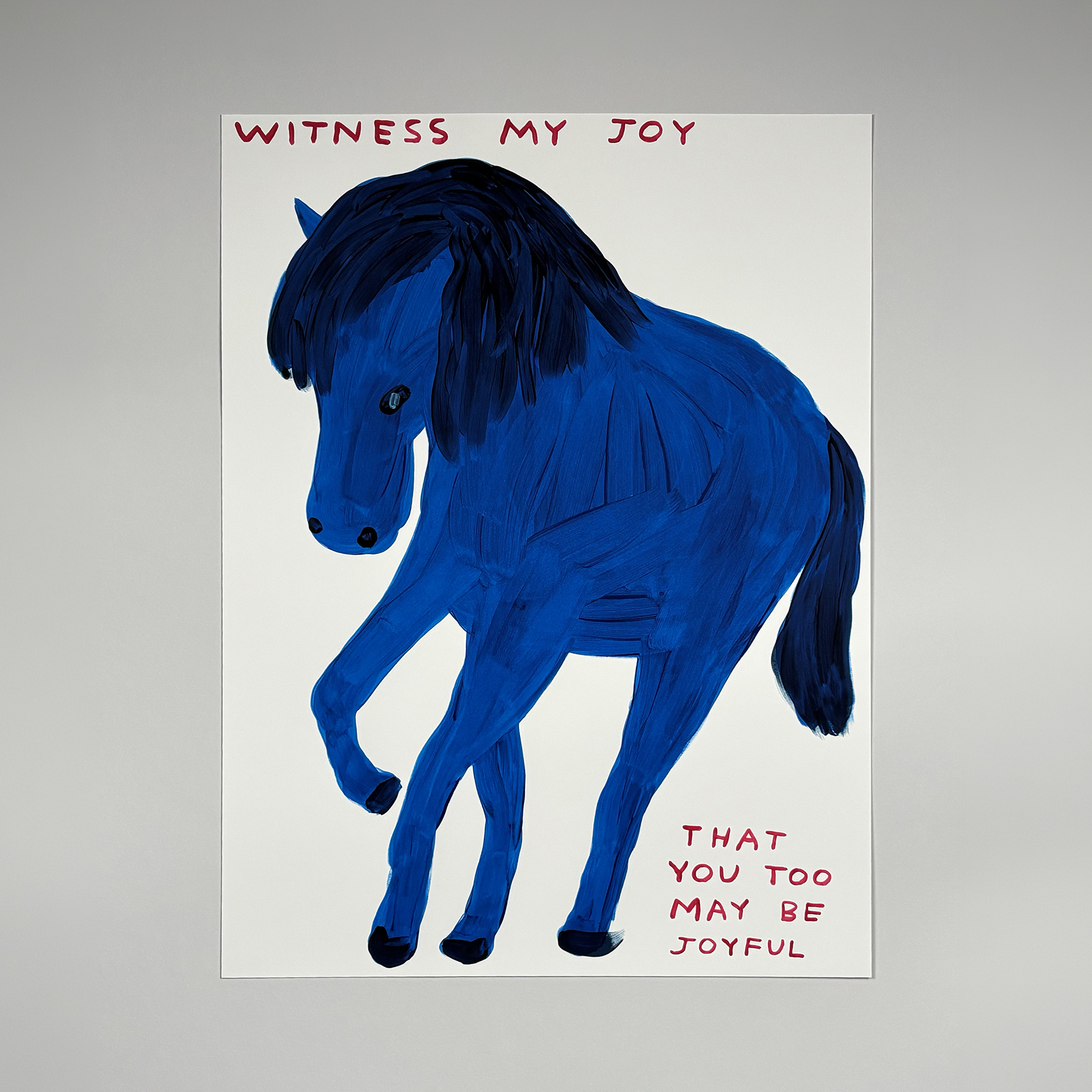 david shrigley witness my joy (2022)