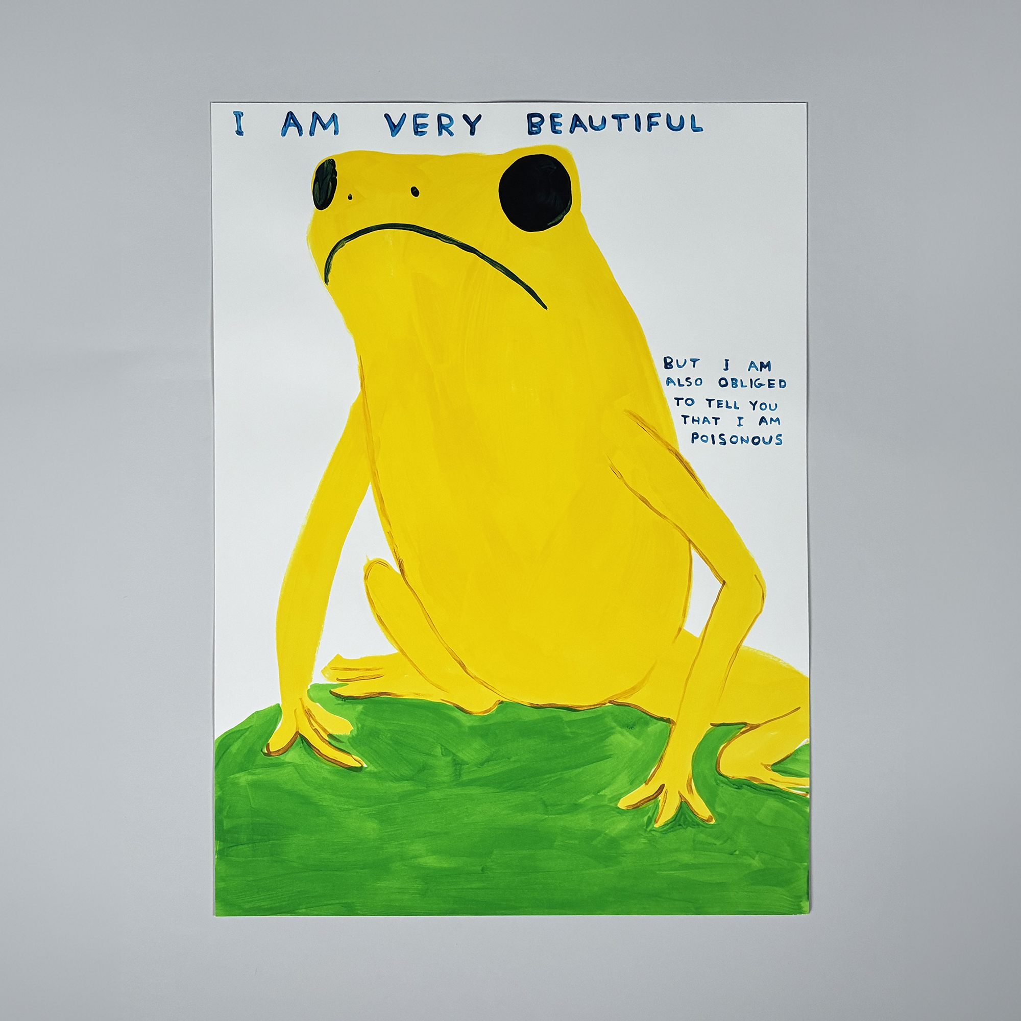 david shrigley i am very beautiful (2025)