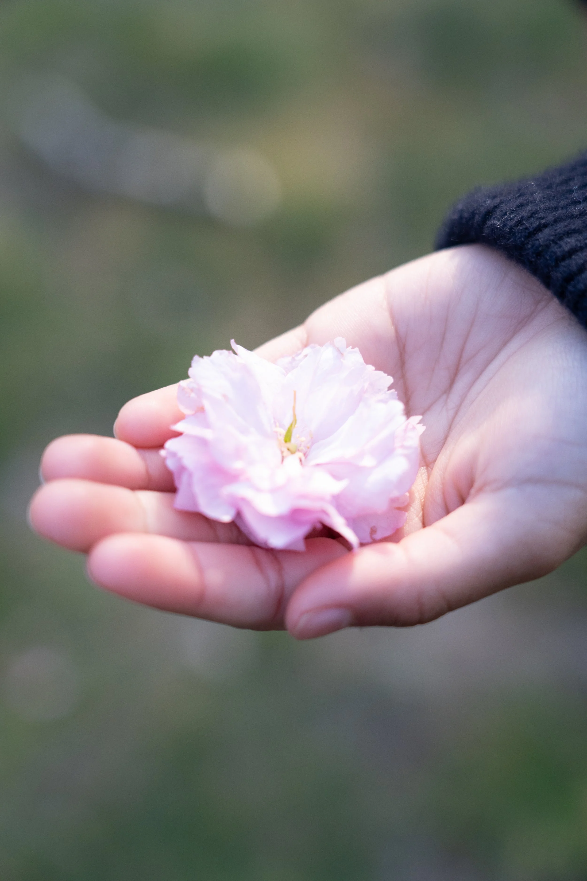 One Sunday Spring
