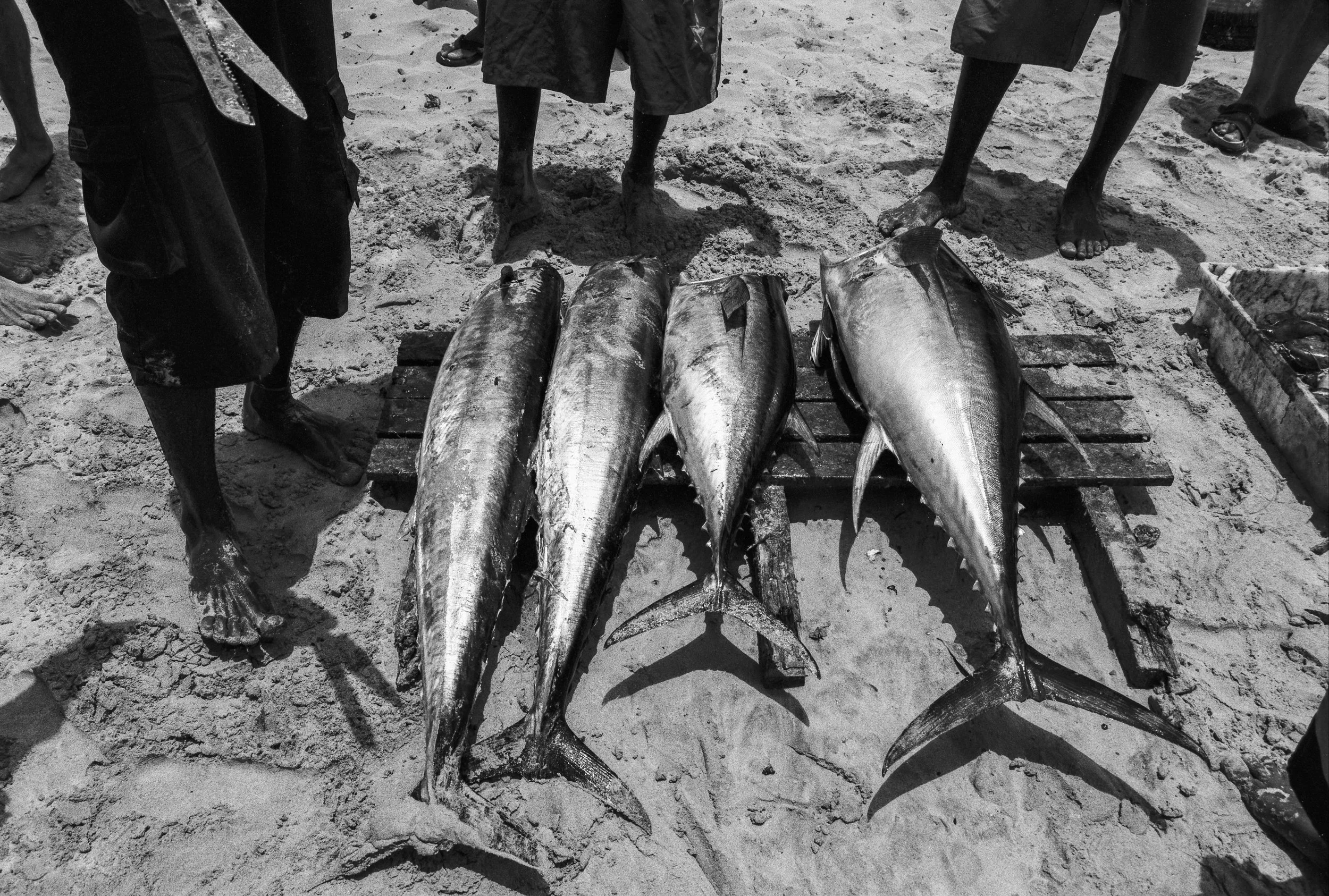 2007 CABO VERDE 3 - 16A.jpg