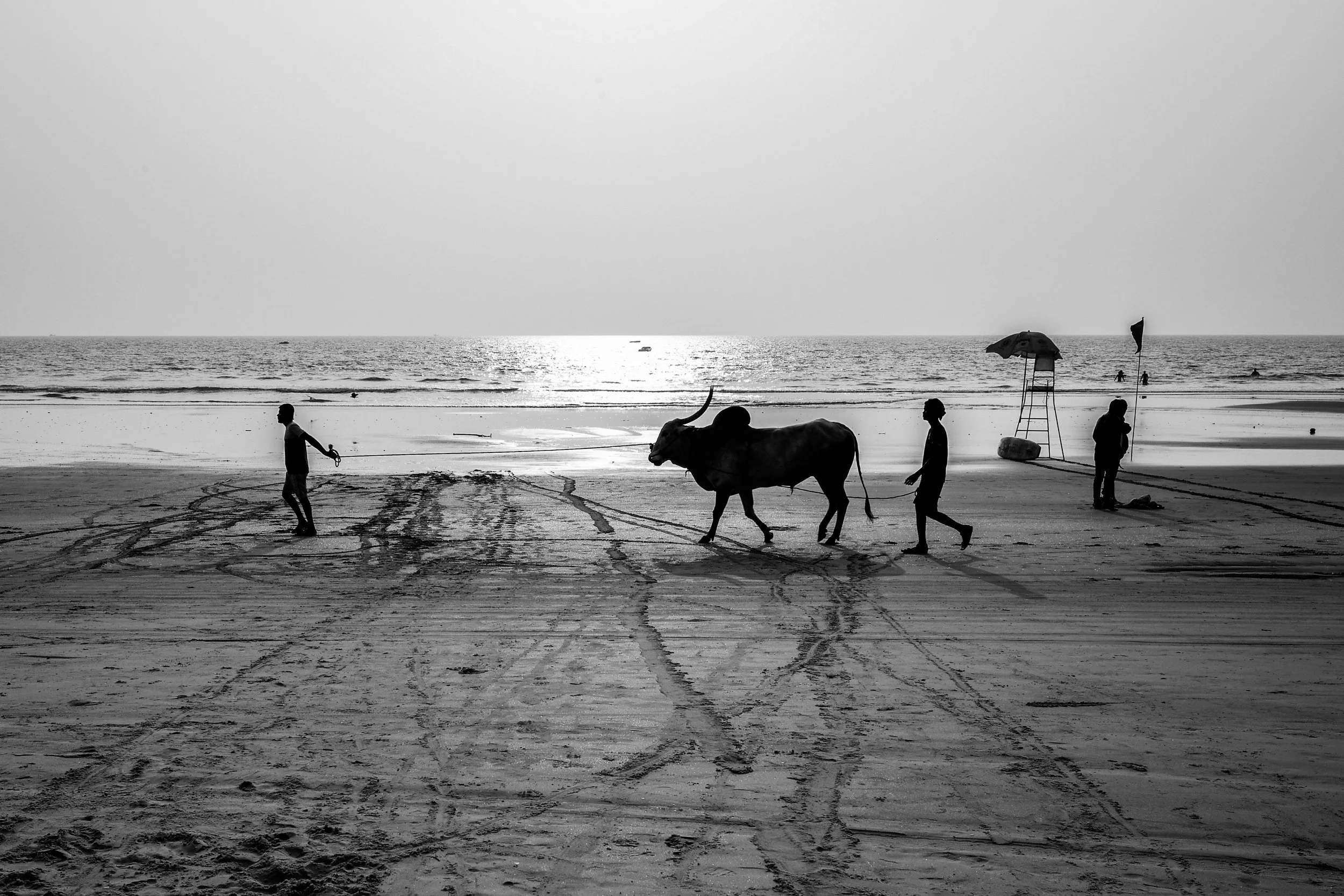 L1009178 2.jpg