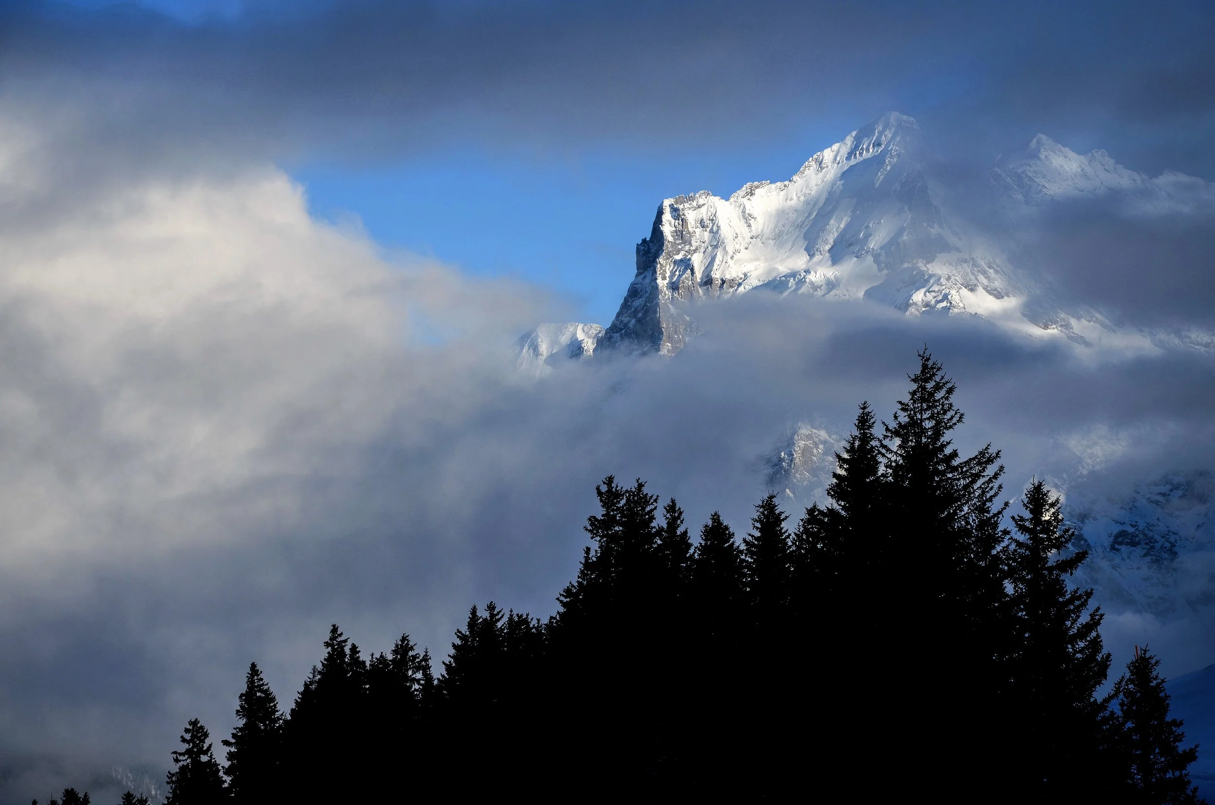 DSC_0893.jpg