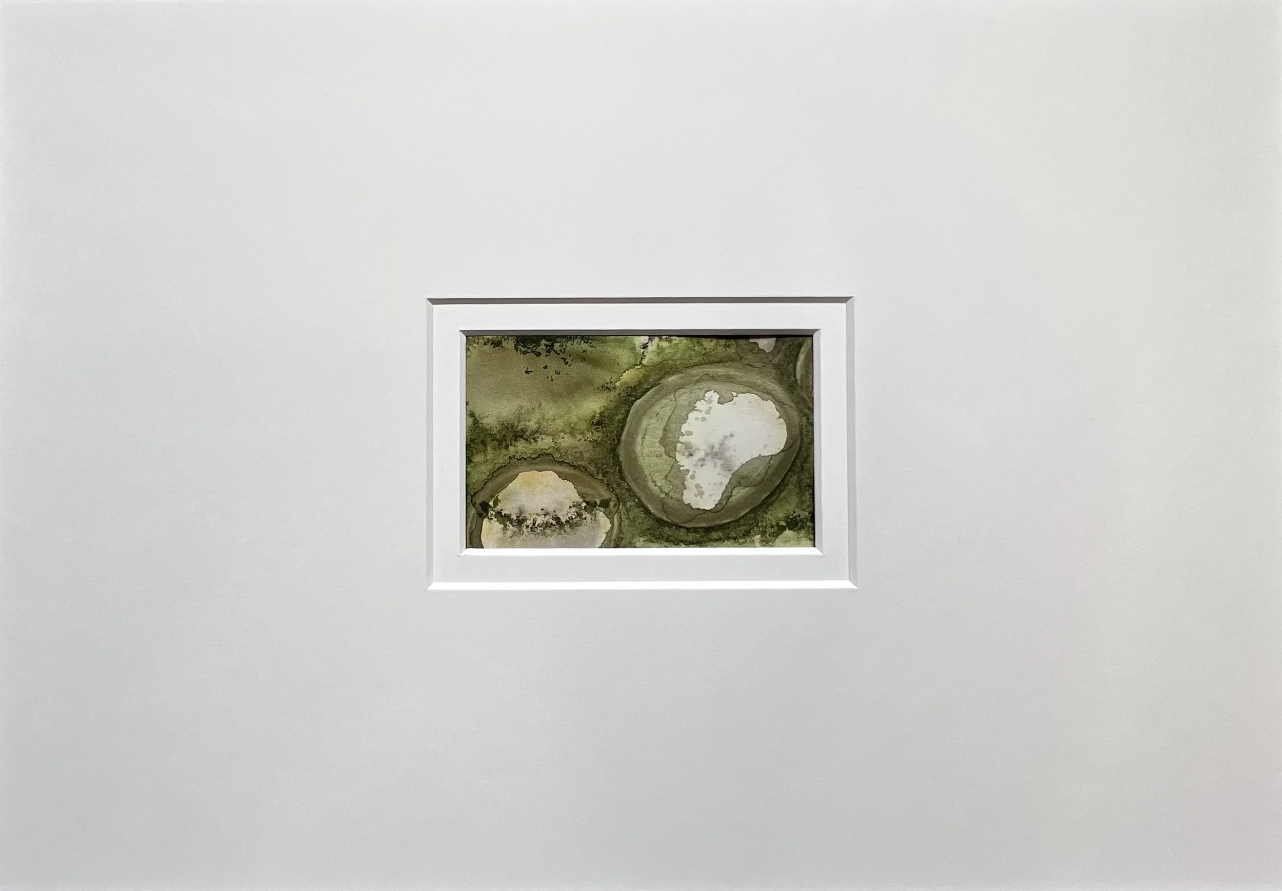 Rock Pool II