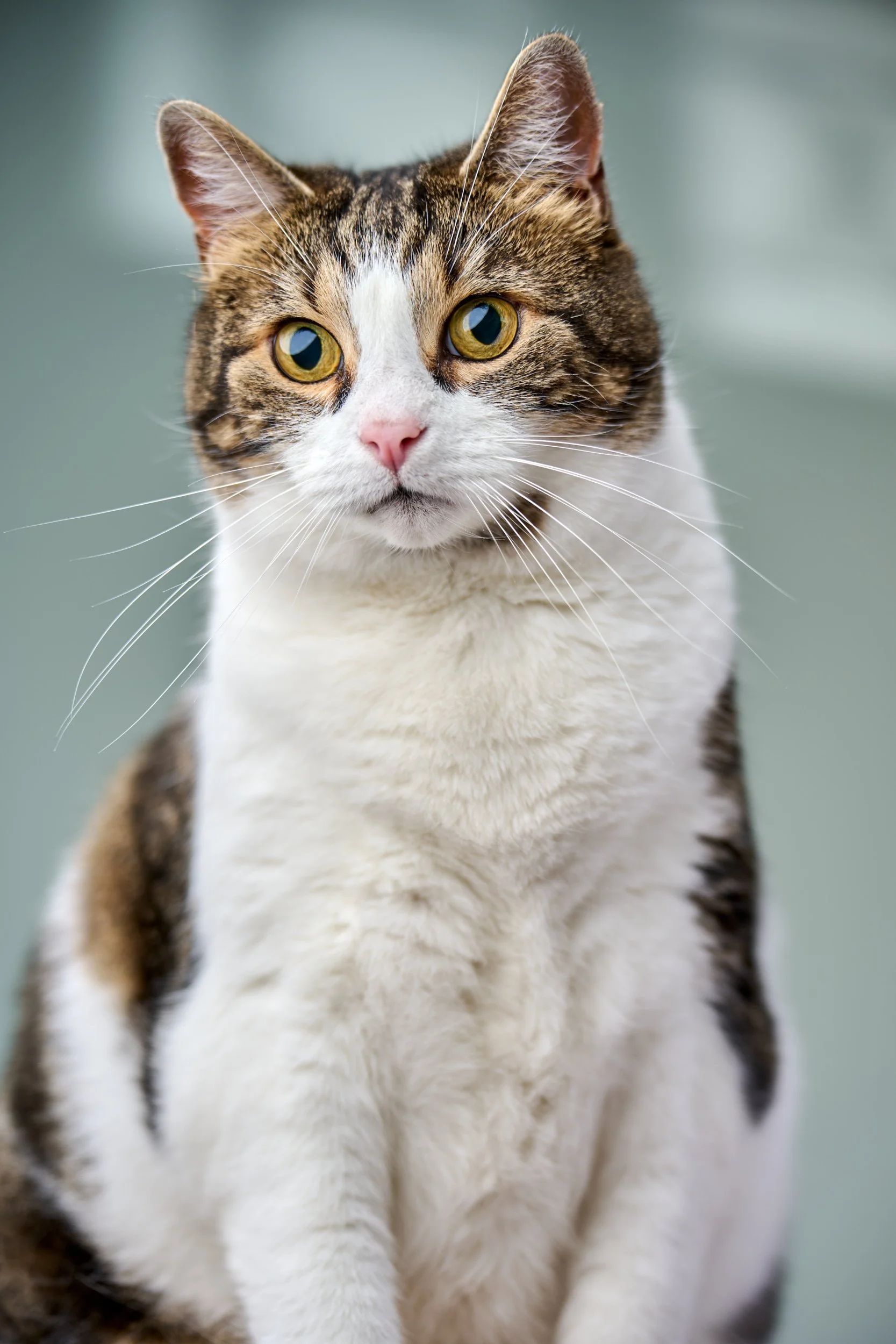 DSC_5726 1.jpg