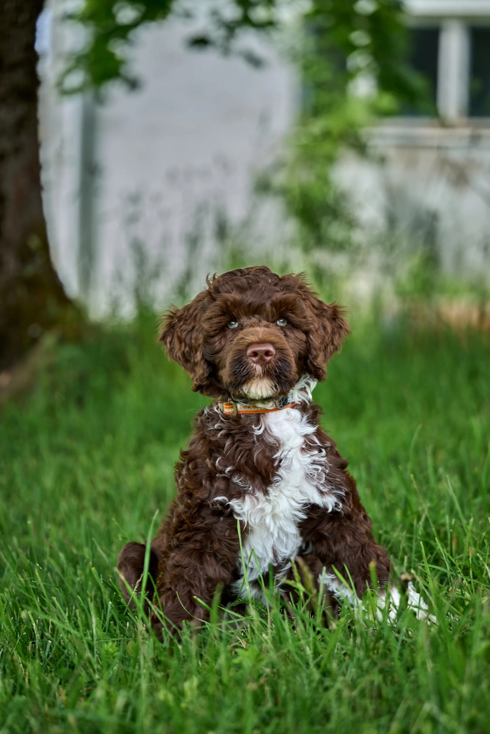 DSC_7925.jpg