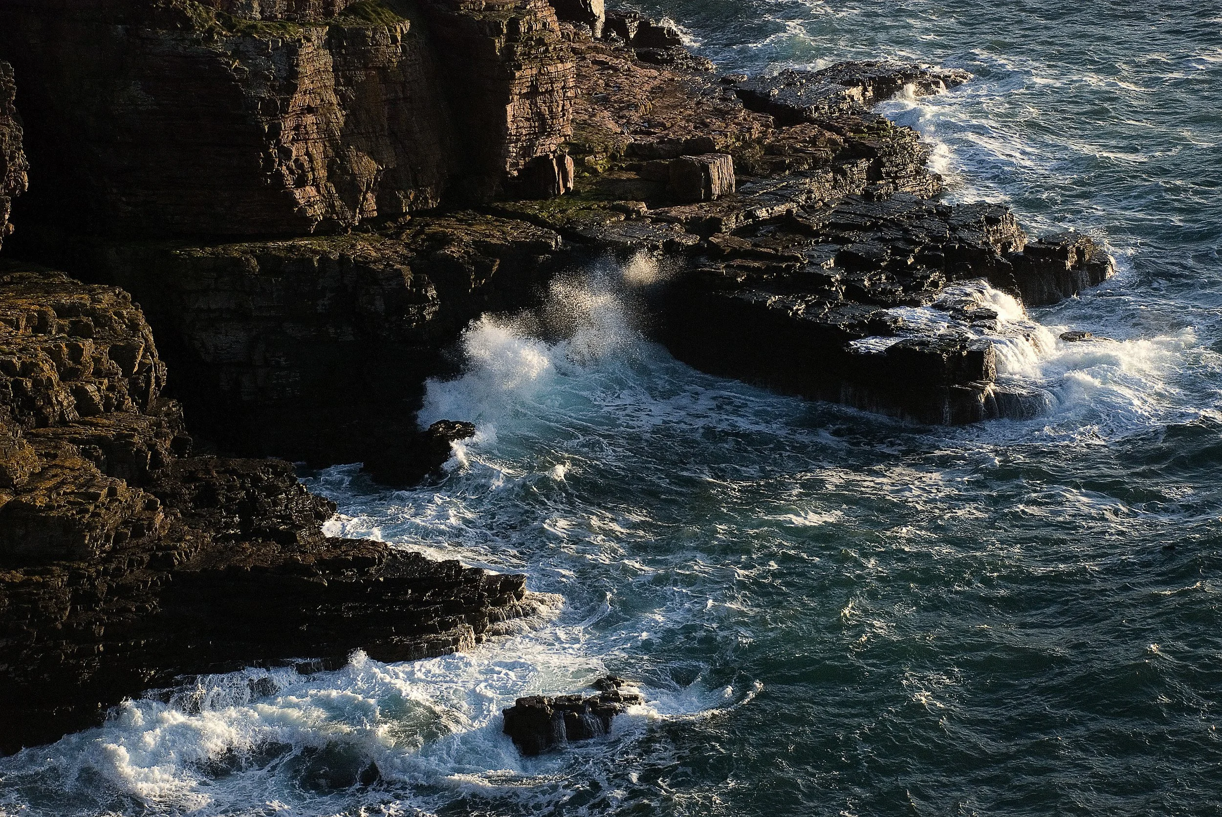 dsc_0244.jpg