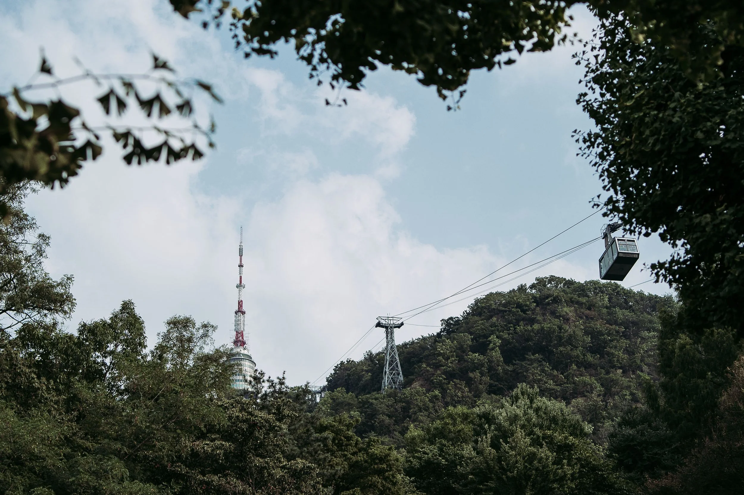spa03918.jpg