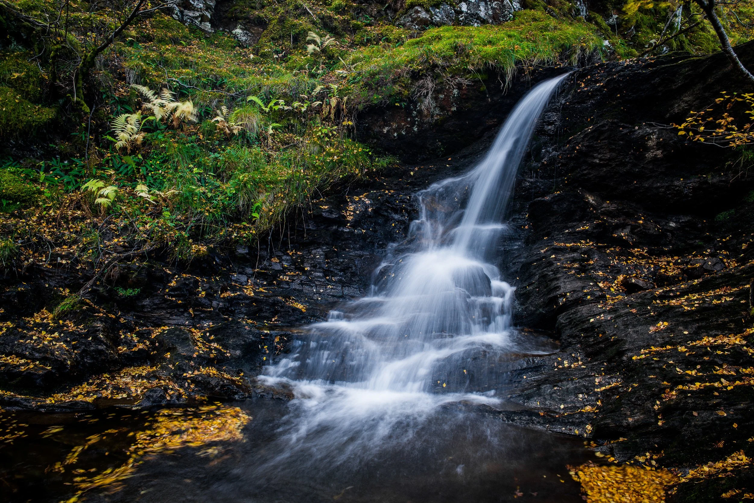 dsc_8469.jpg