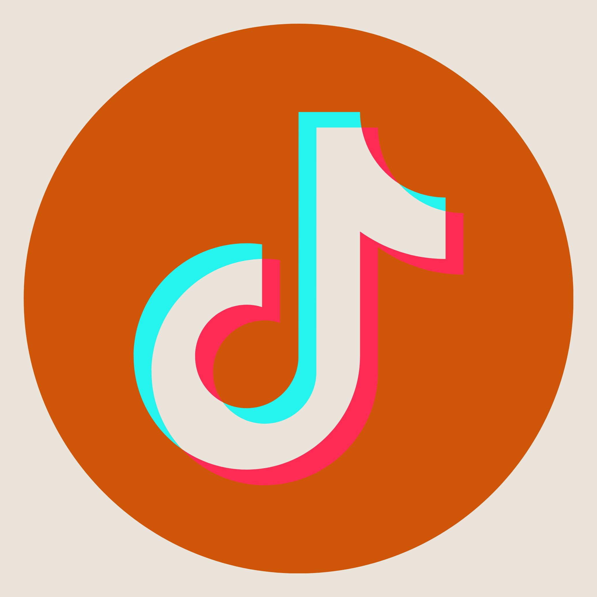 TikTok Logo linking to The Hundys Country Band