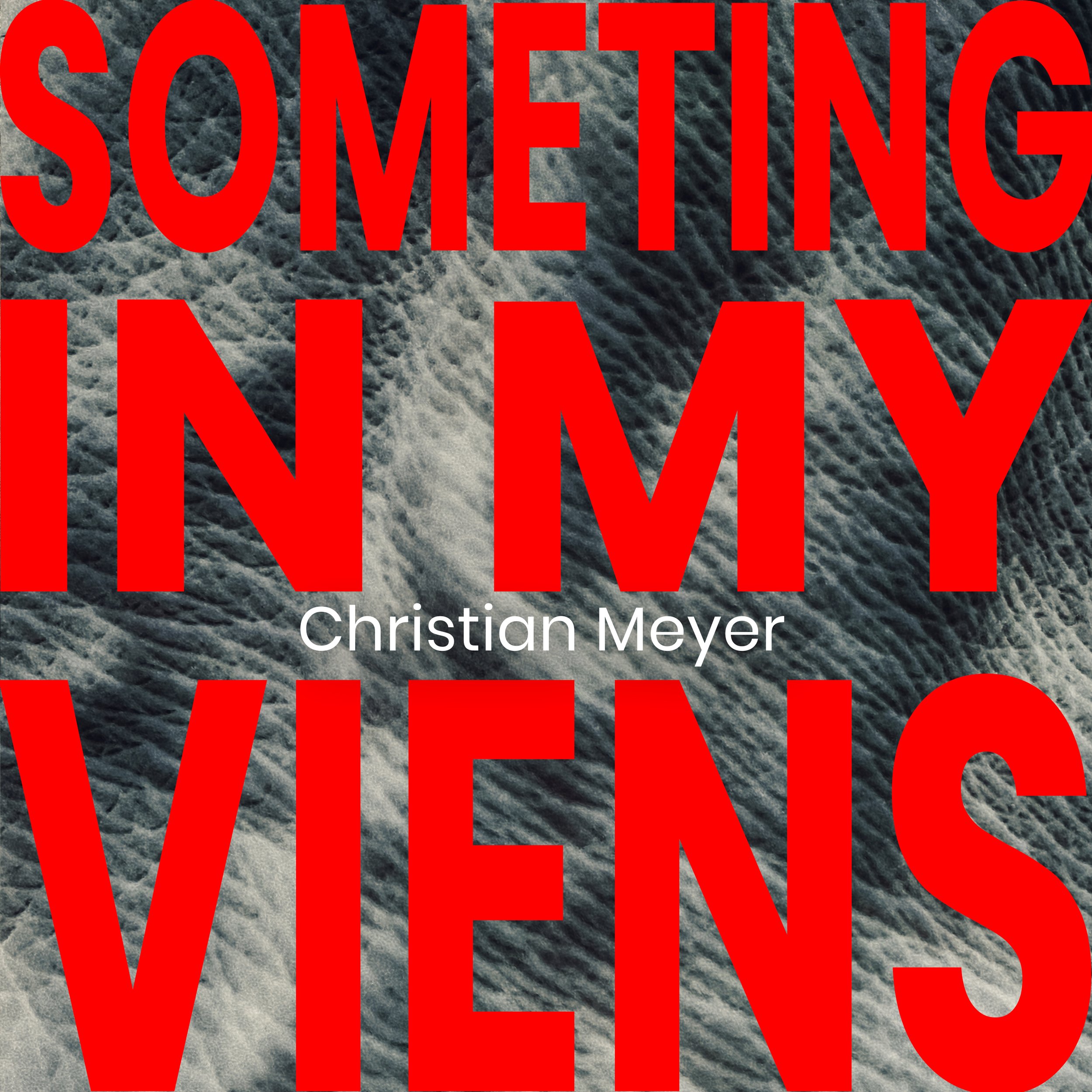 SOMETHING-IN-MY-VEINS.jpg