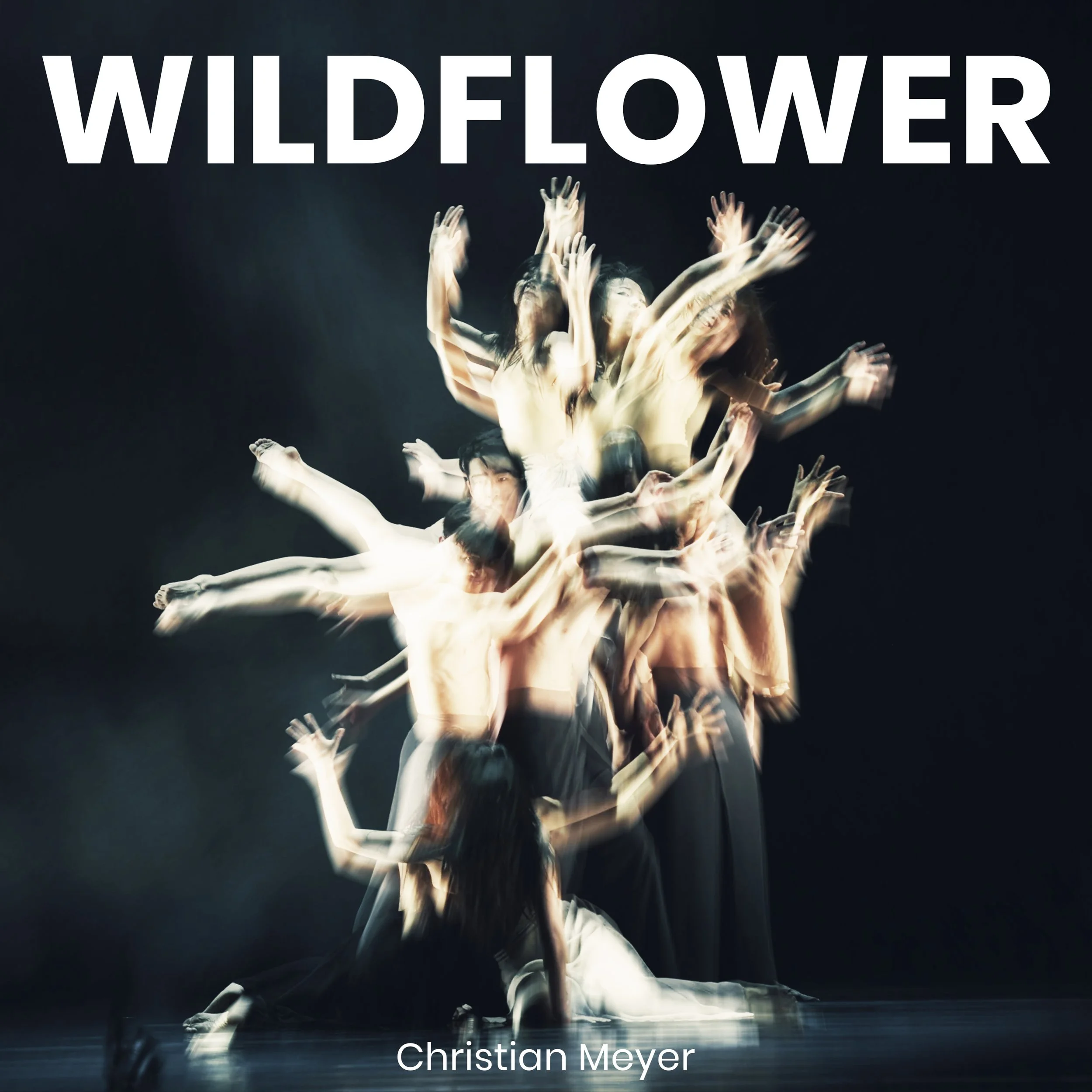 WILDFLOWER.jpg