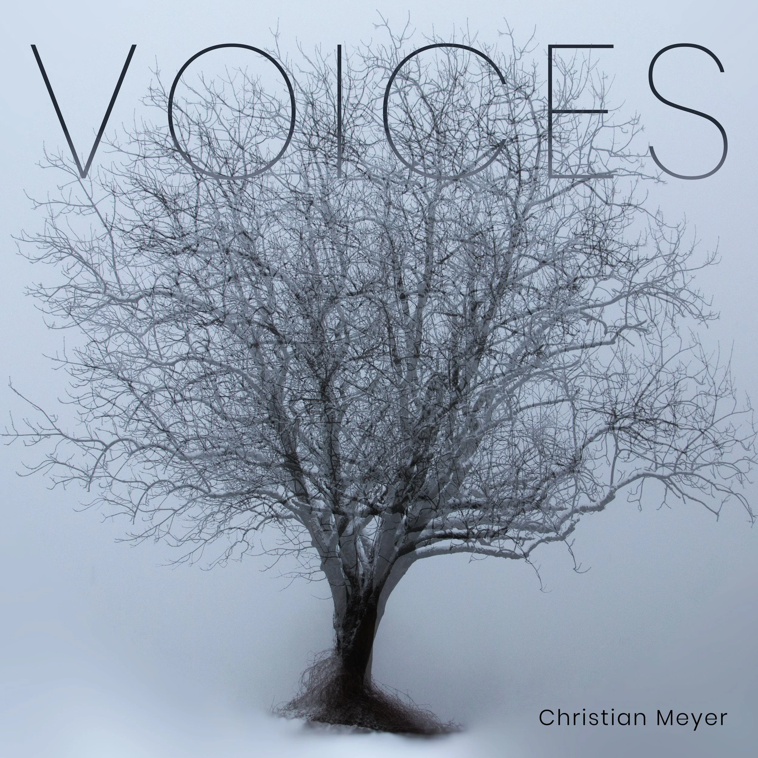 VOICES.jpg
