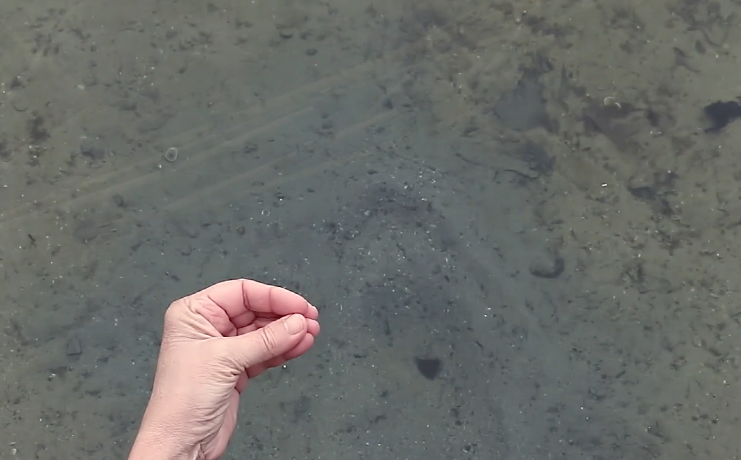 Body of Water