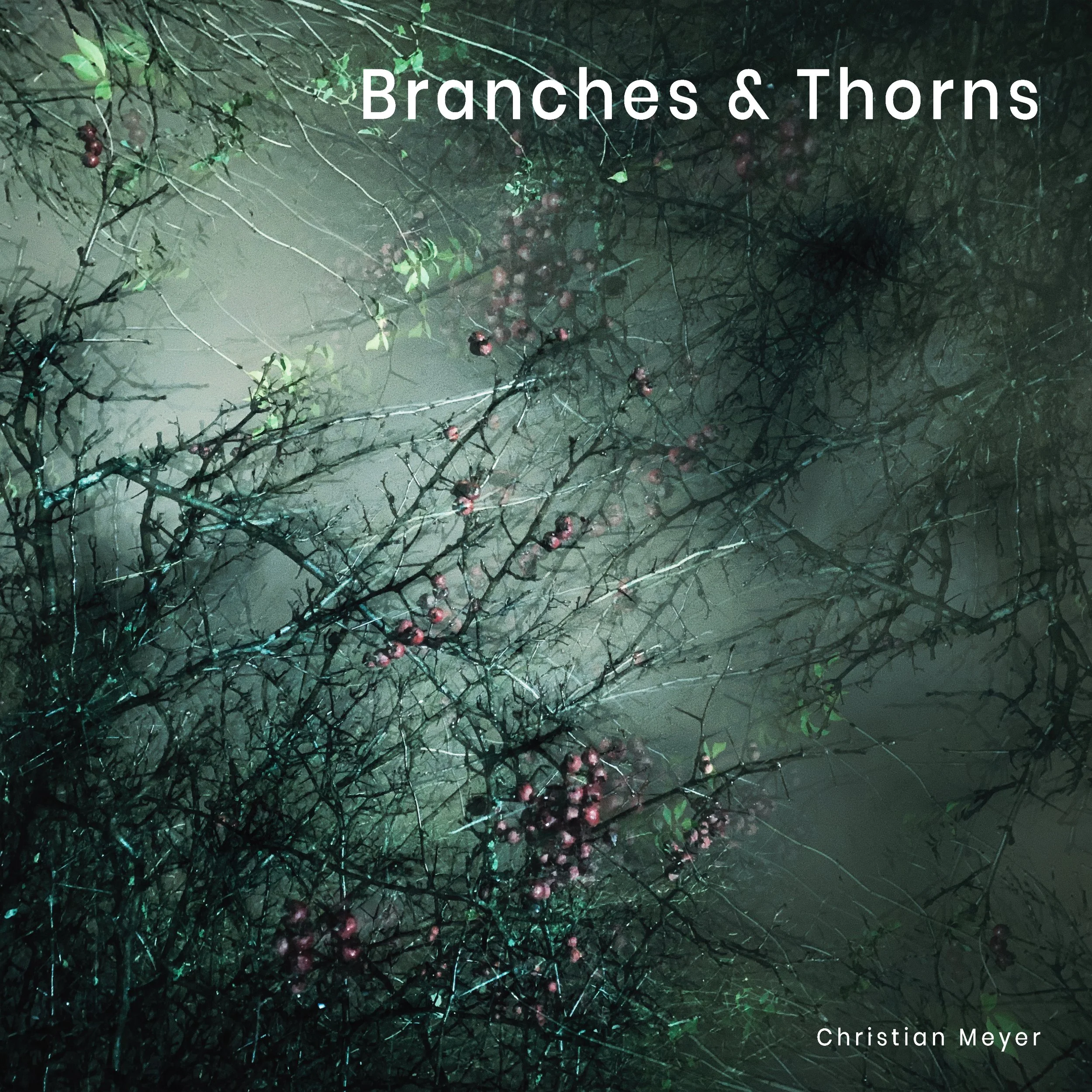 BRANCHES-&-THORNS.jpg