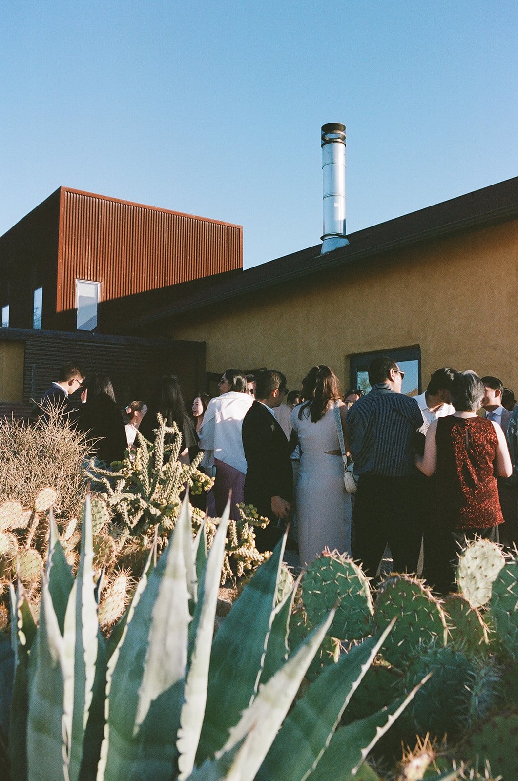 guest-experience-cocktail-hour-jasper-lane-events.jpg