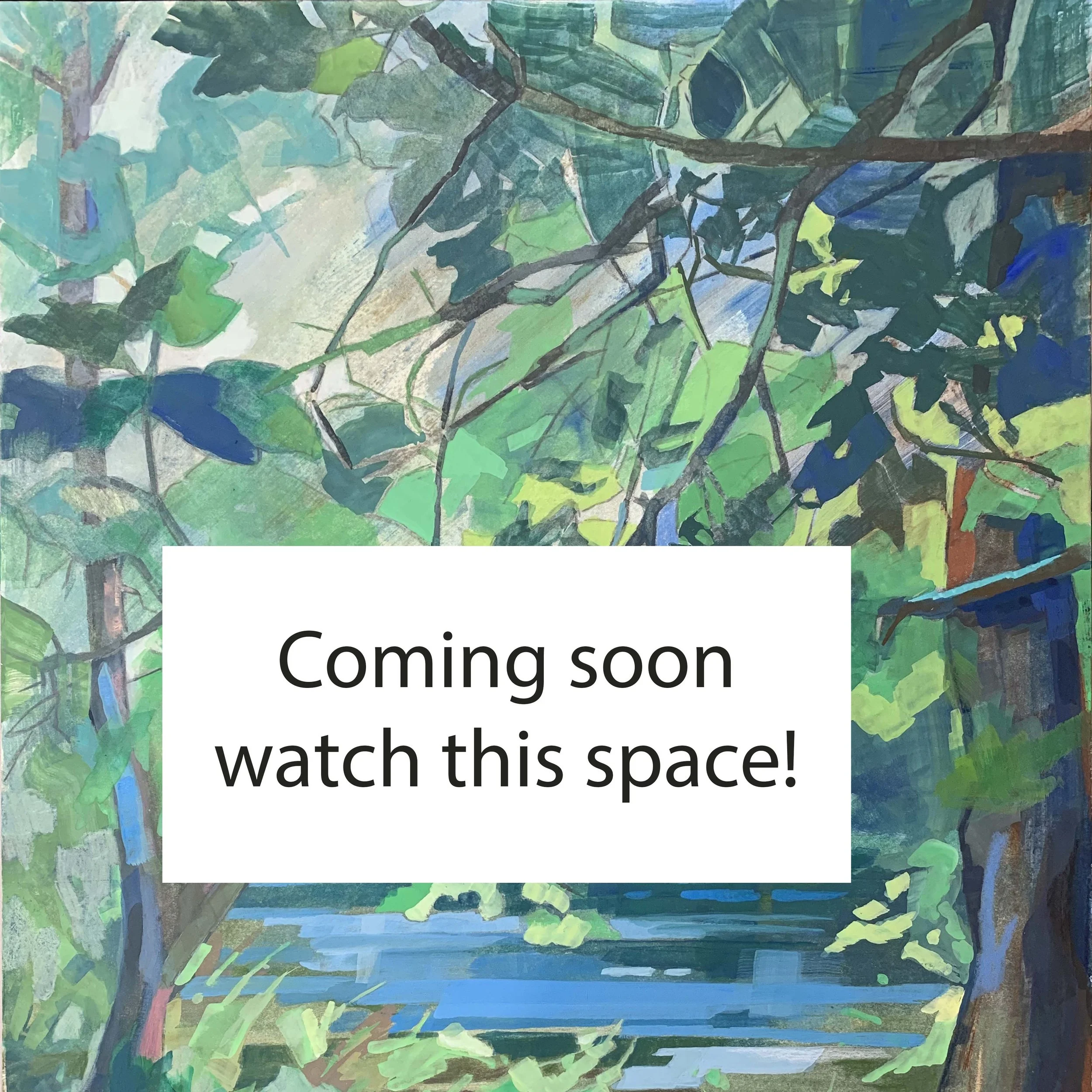 Coming soon copy.jpg