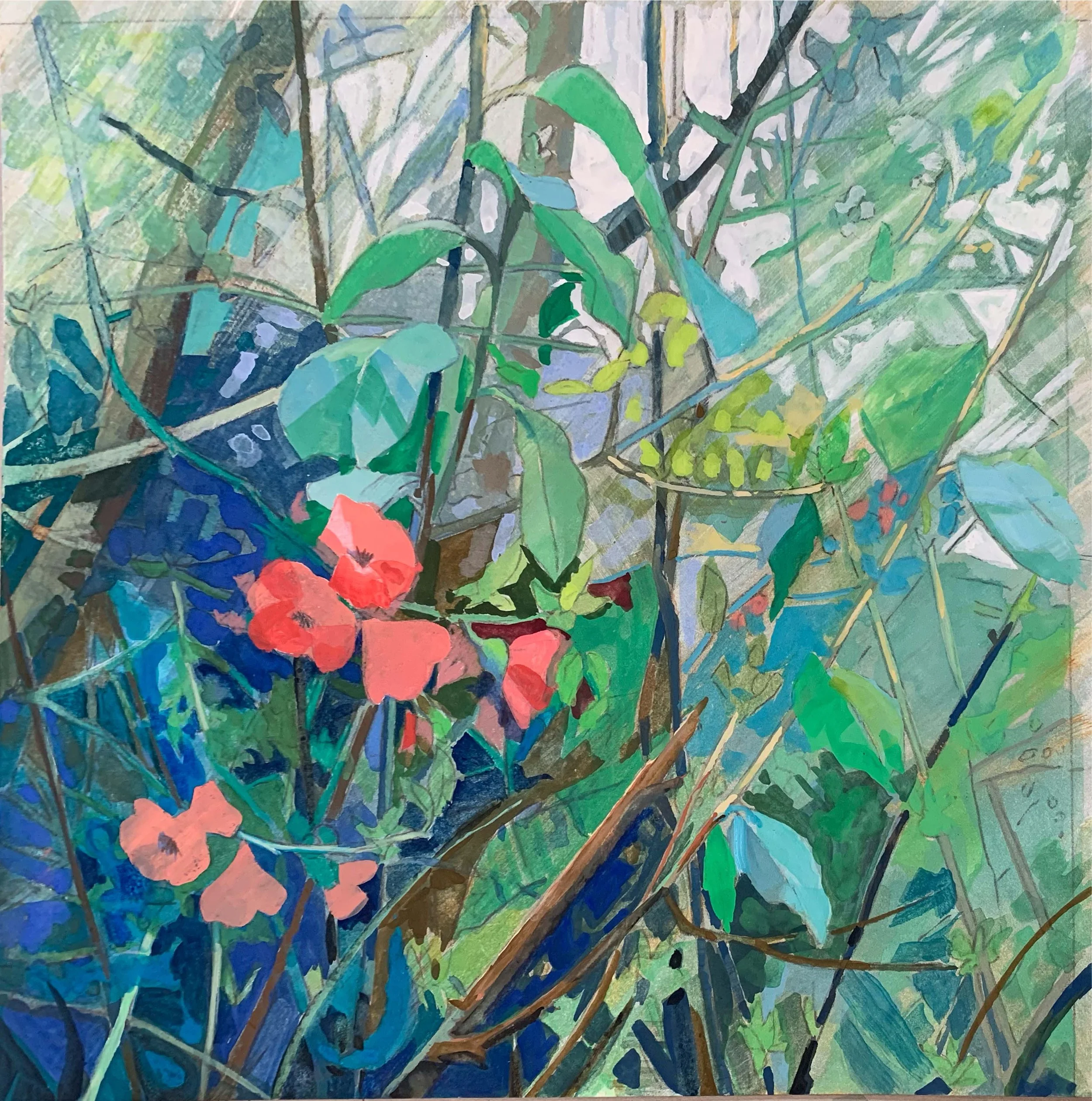 Flowers in Hedgerow