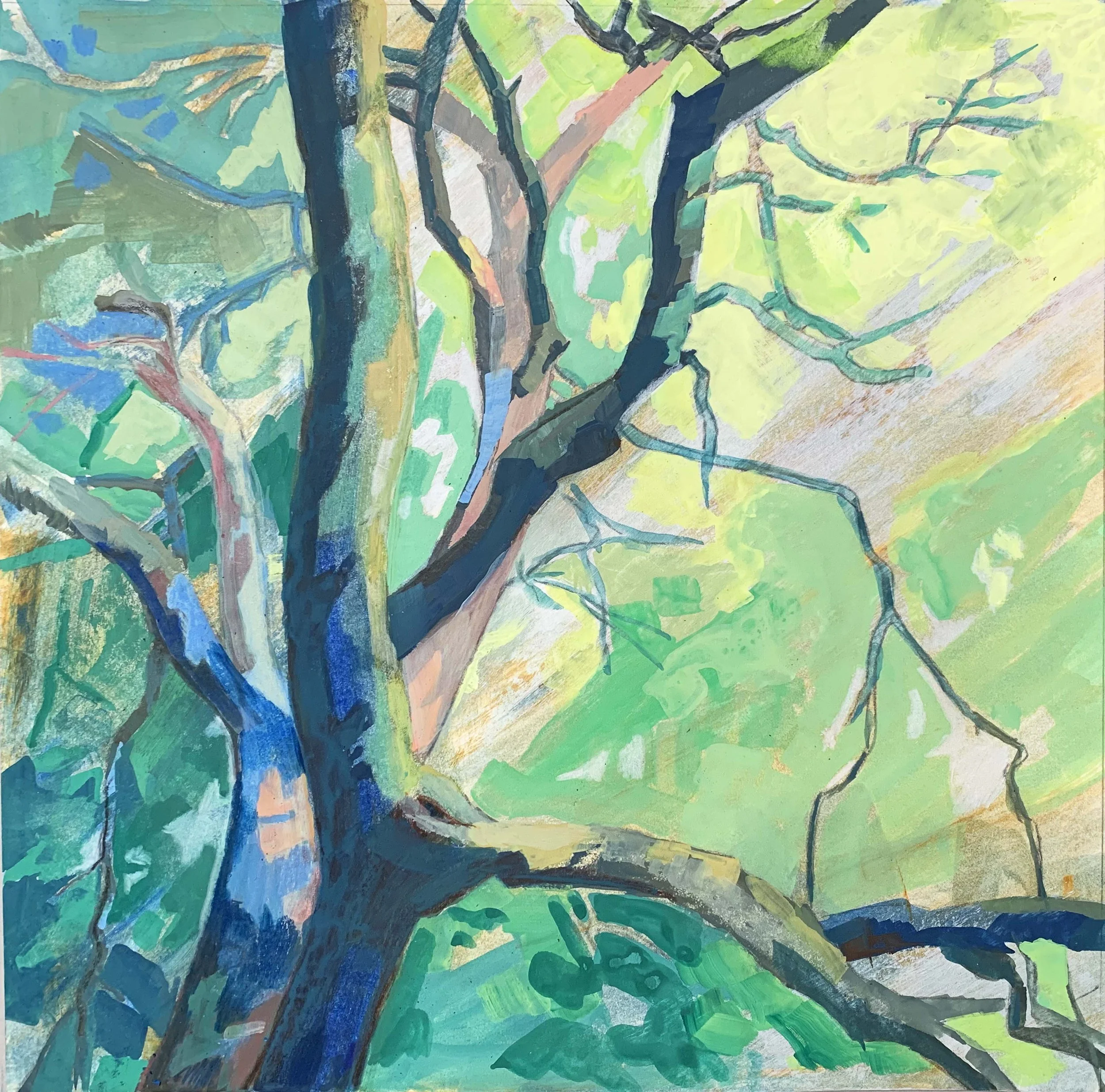 Spring Sunlight