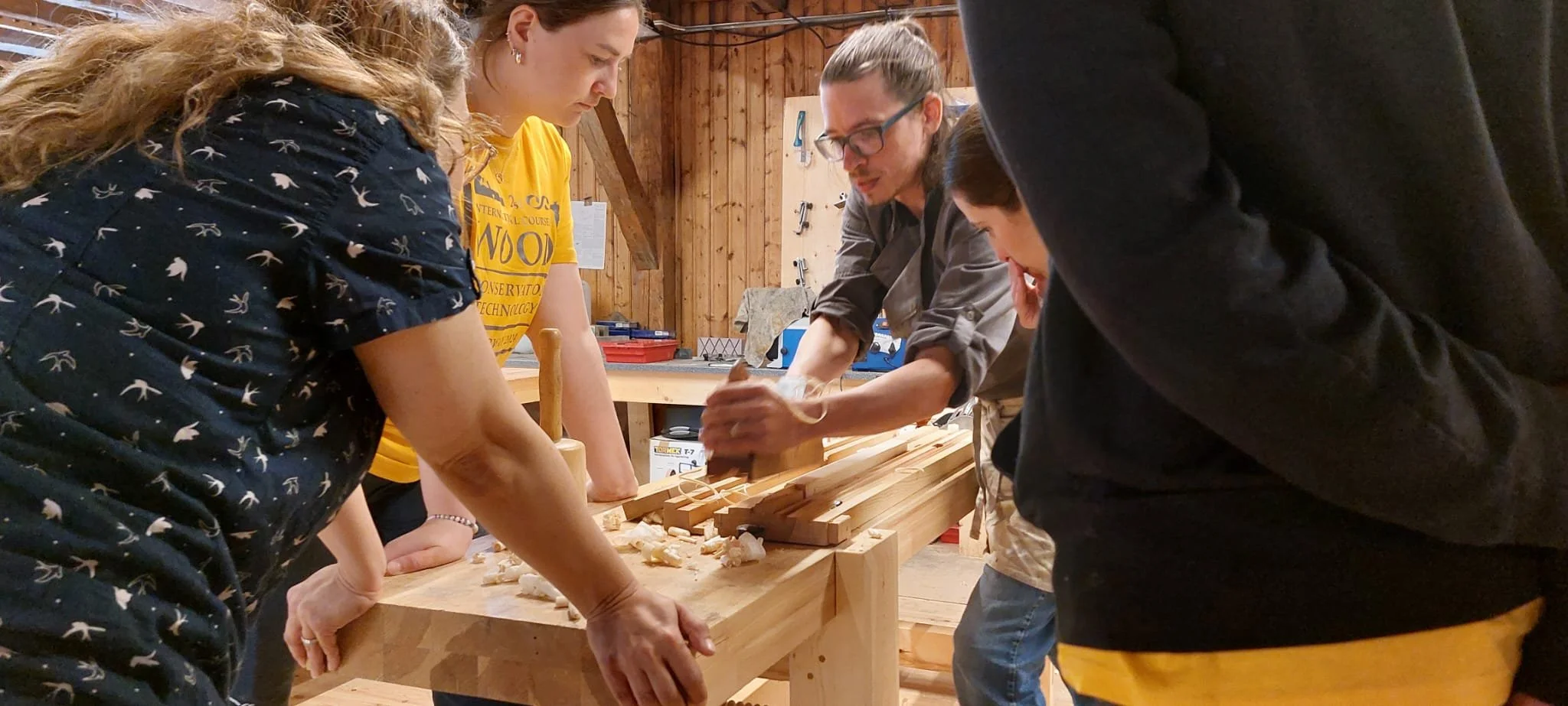 A Friendly Introduction to Woodworking