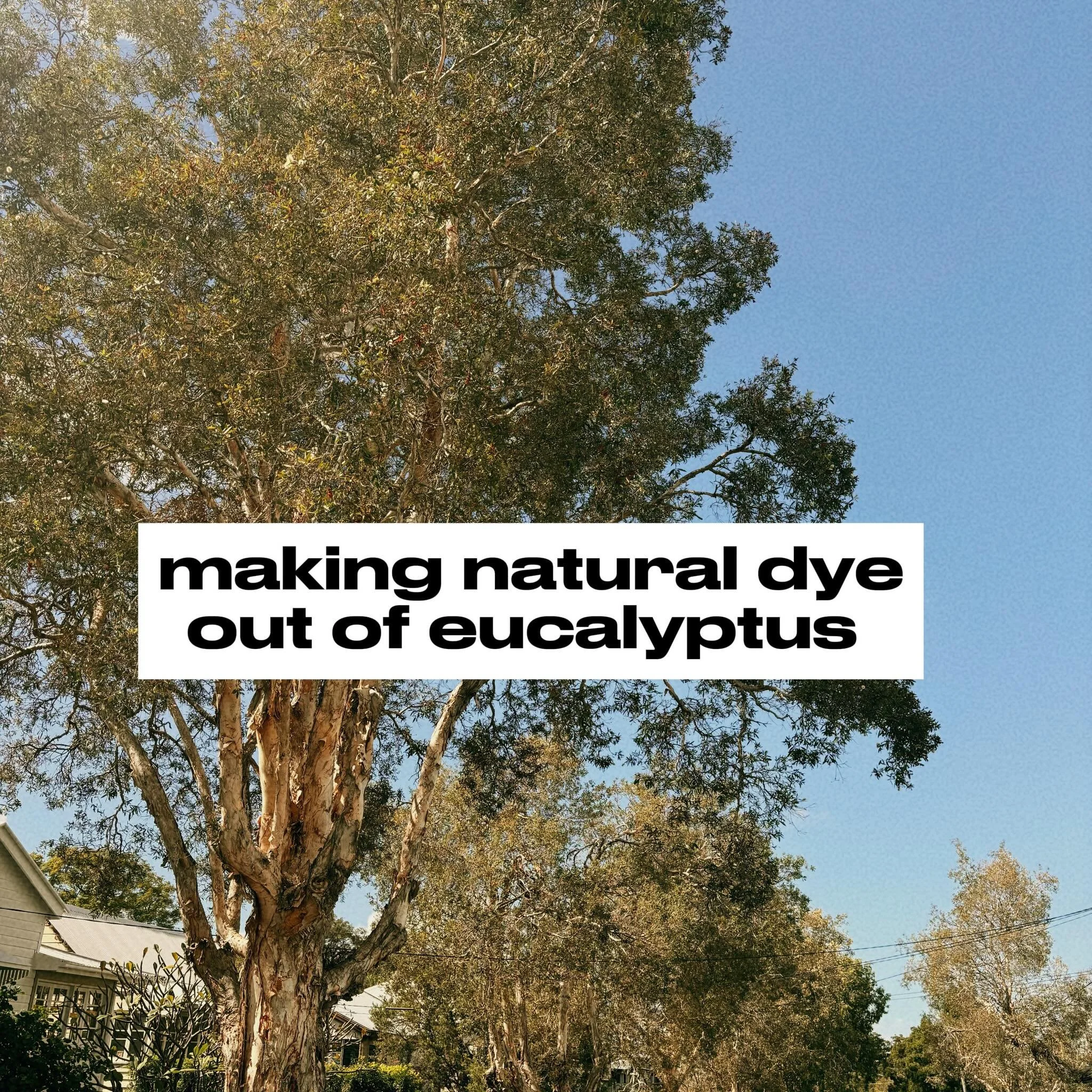 natural dyeing using eucalyptus leaves, seed pods and bark 🌿