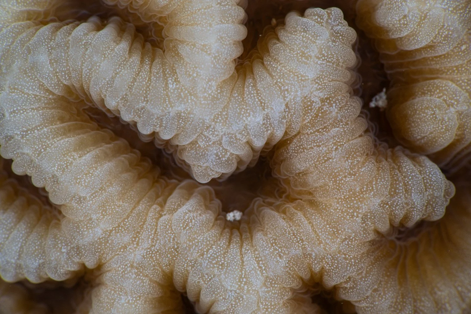DSC_1803.jpg