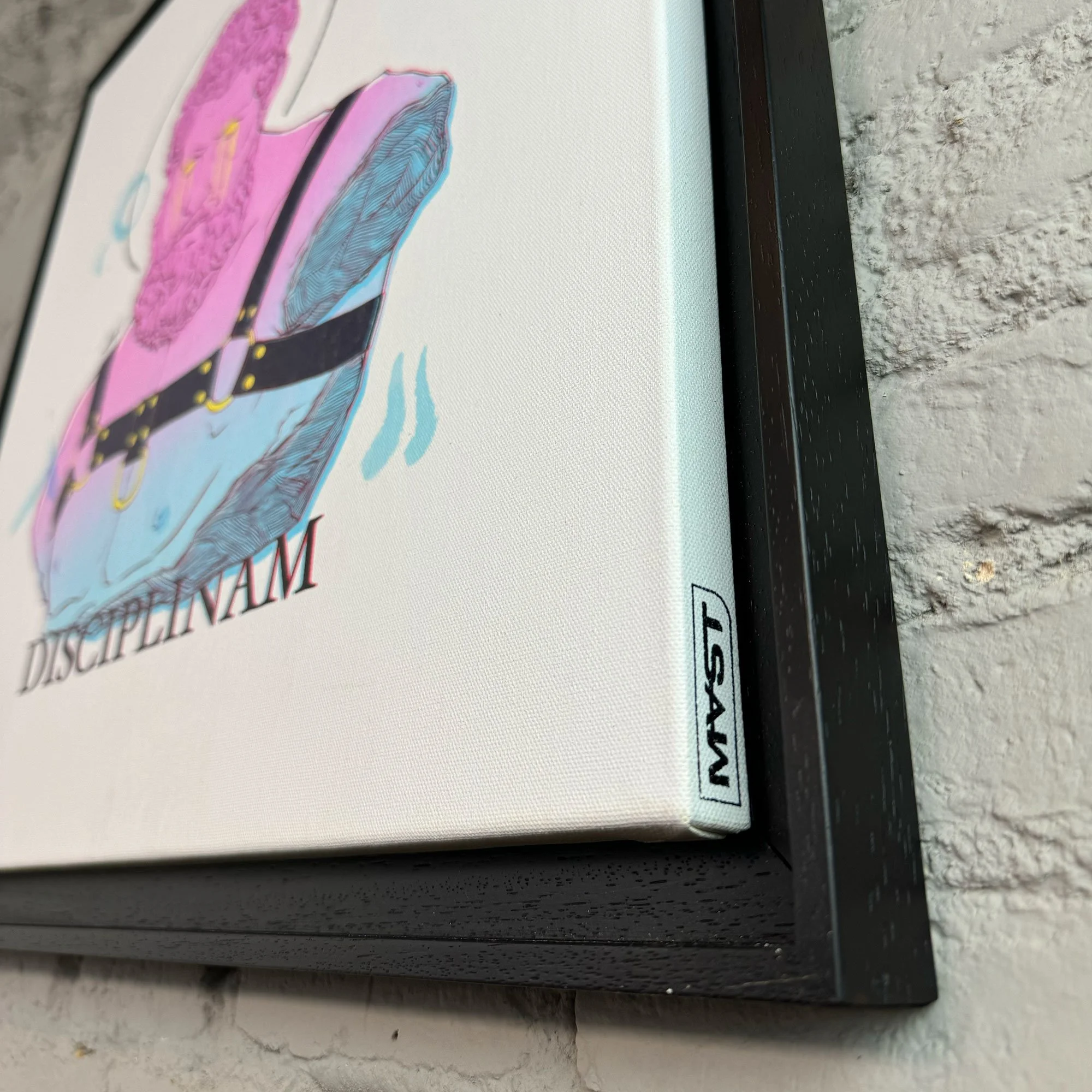 Disciplinam-2 (1).jpg