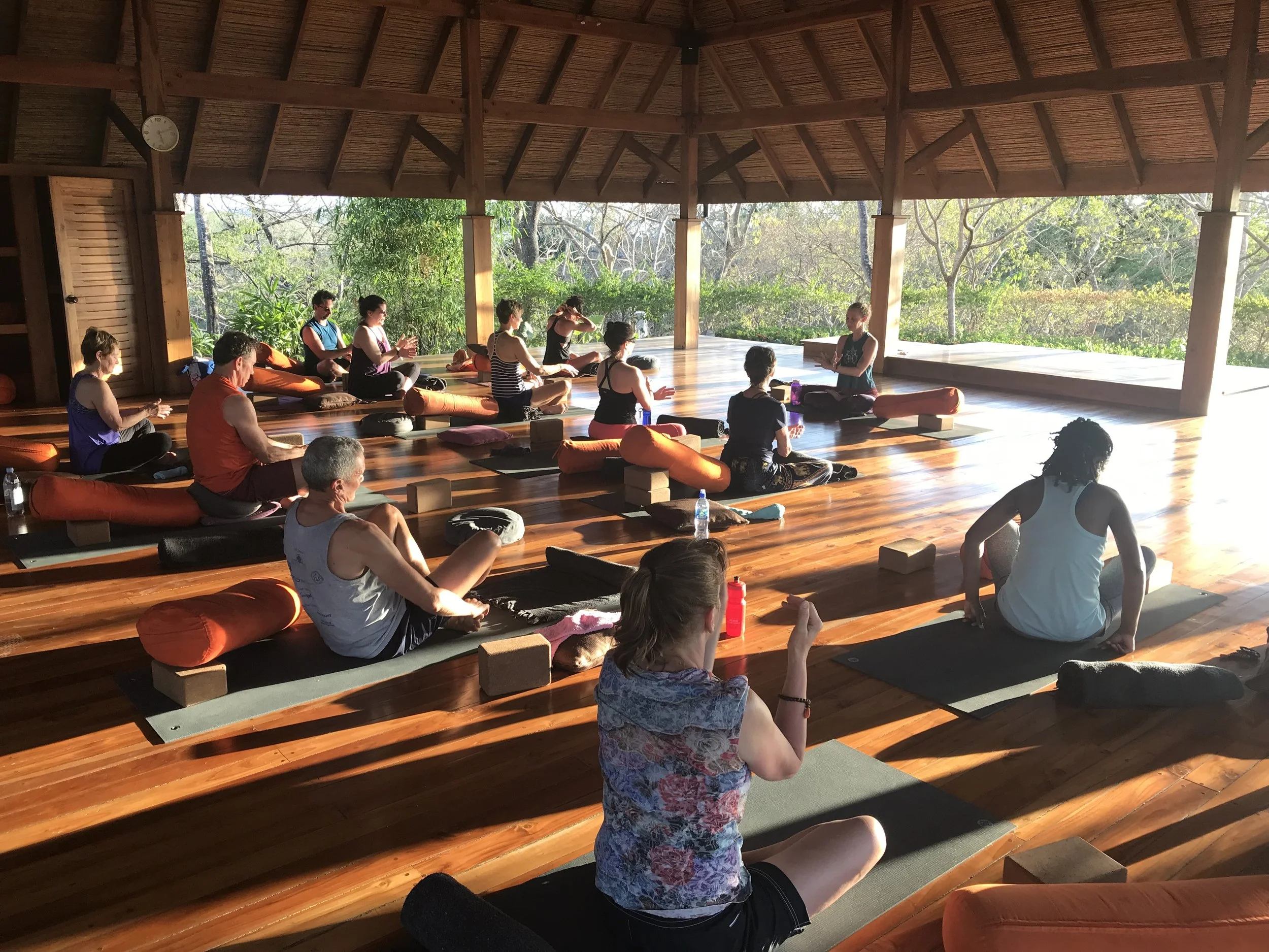 3 (4) Elements to a Yogasana Class