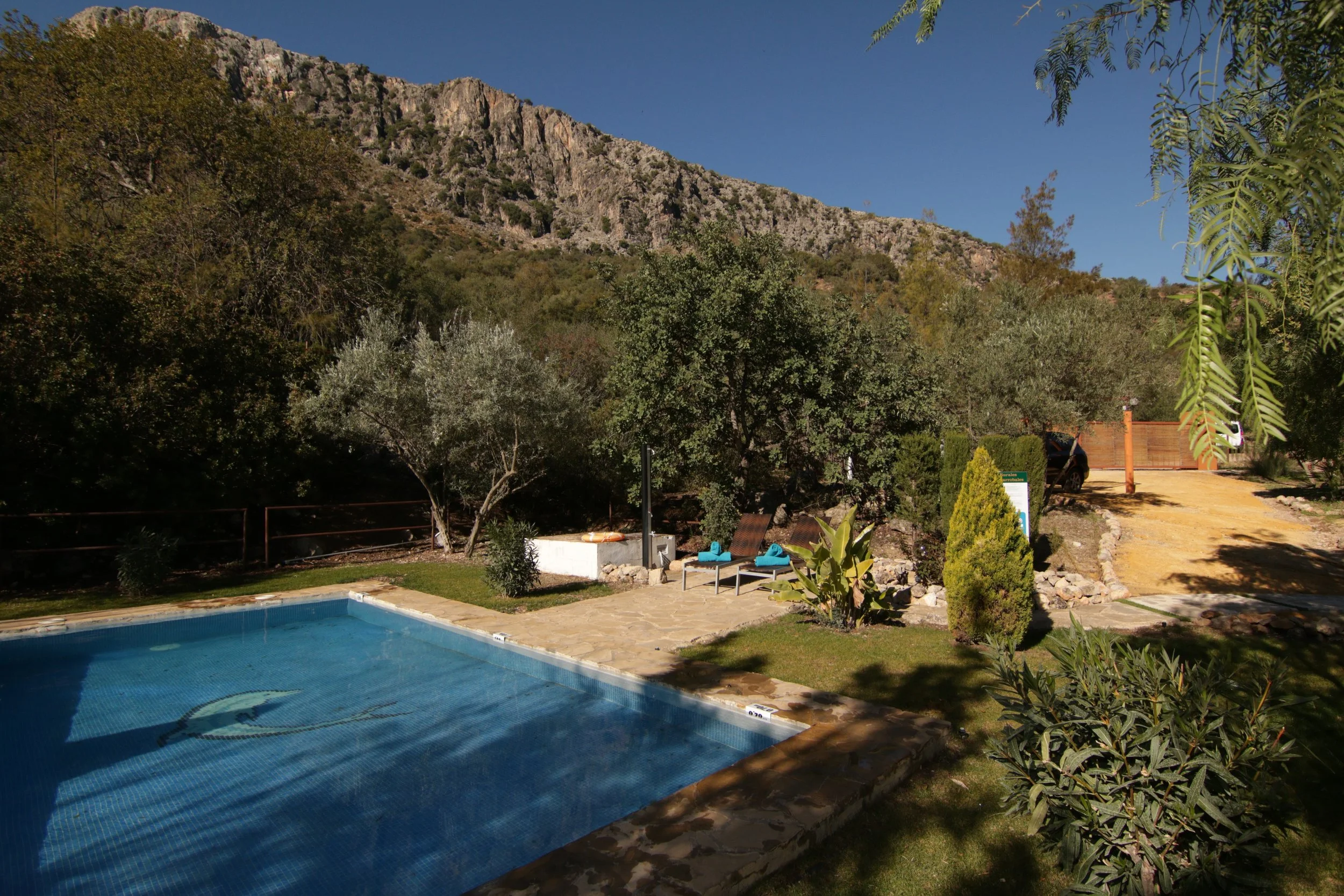 A backyard with a swimming pool, lounge chairs, and lush landscaping, with a mountain and blue sky in the background.