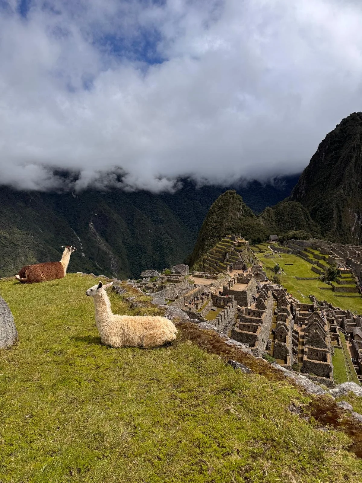 Peru - 2026