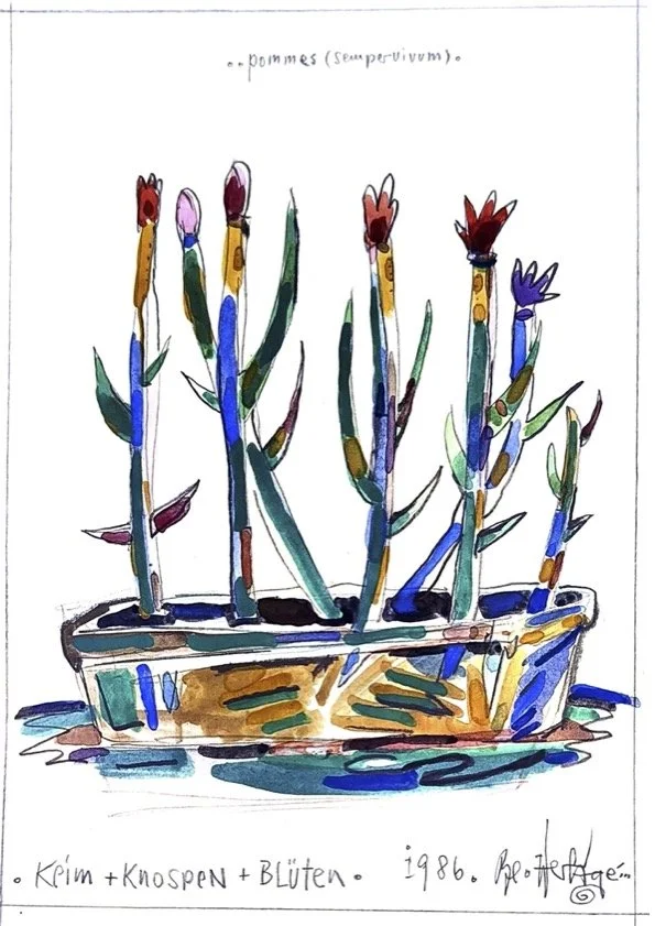 Keim+Knospen+Blüten.jpg