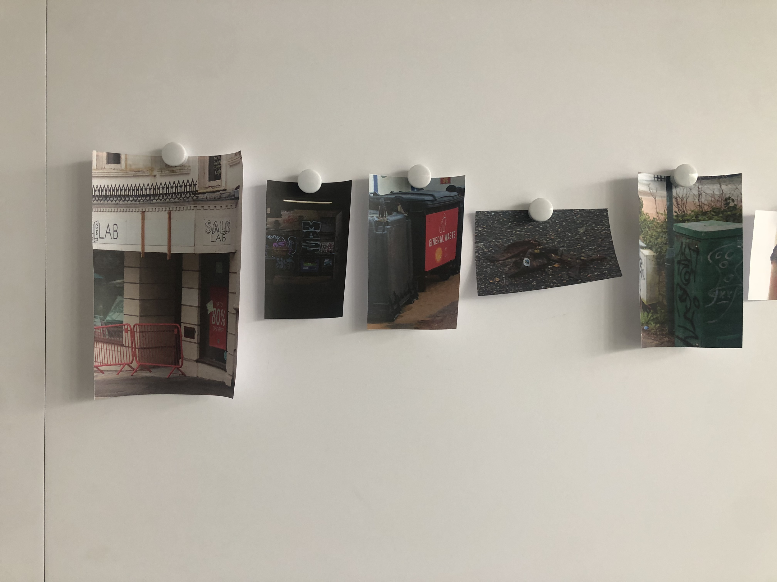 A series of photographs clipped onto a white wall with round magnets, showing various urban and street scenes, including a building with sale signs, a trash bin, a dog lying on the ground, and a green container with graffiti.
