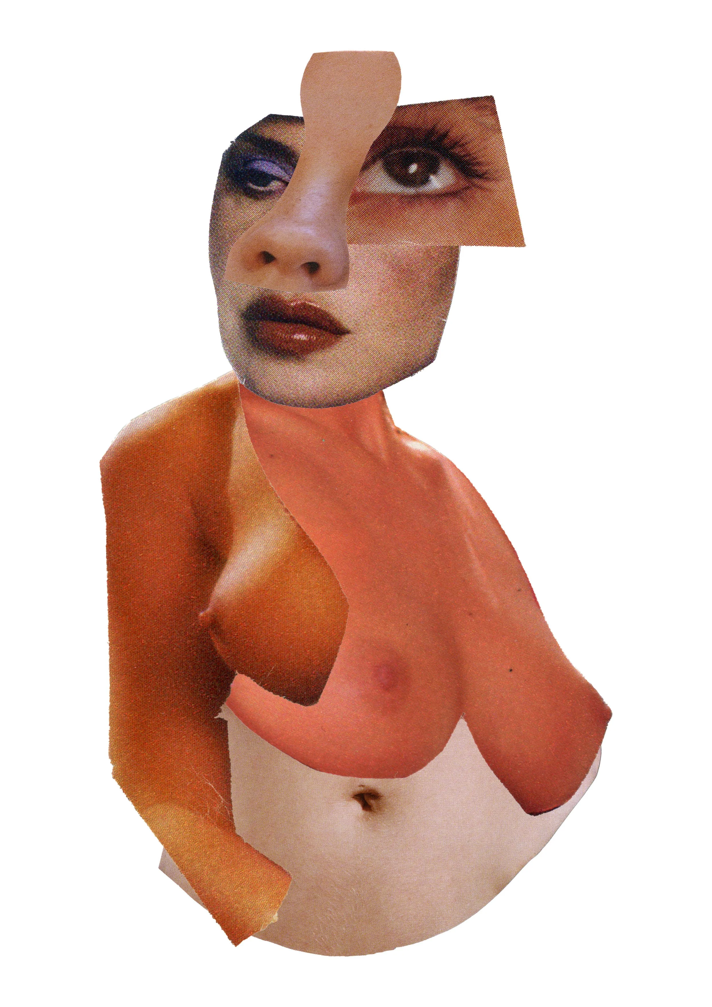 Collage of a woman's face and upper body assembled from torn magazine clippings, highlighting her eyes, nose, lips, and shoulder with a white background.