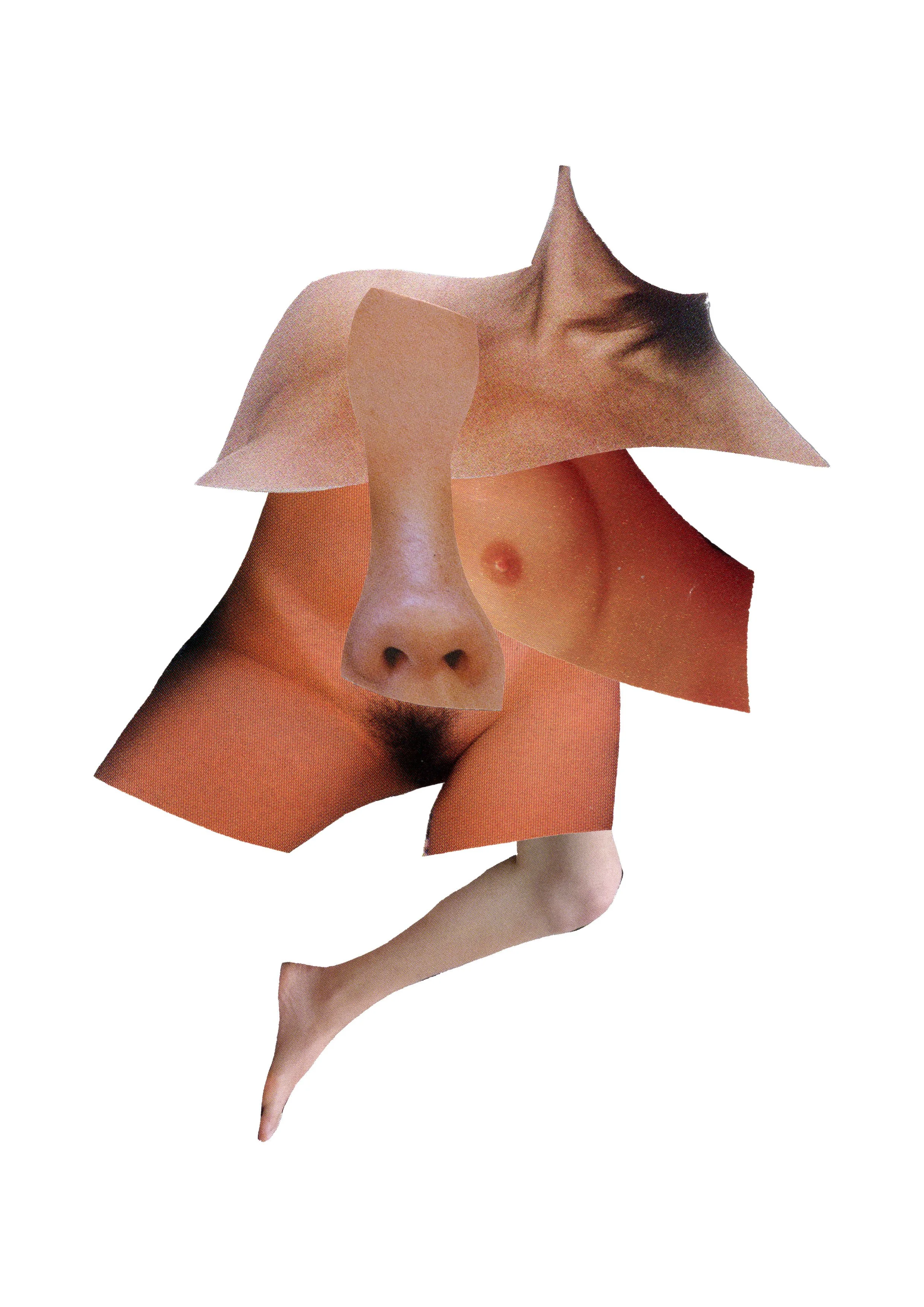 Collage of human body parts, including face, chest, arms, and legs, arranged in an abstract manner.